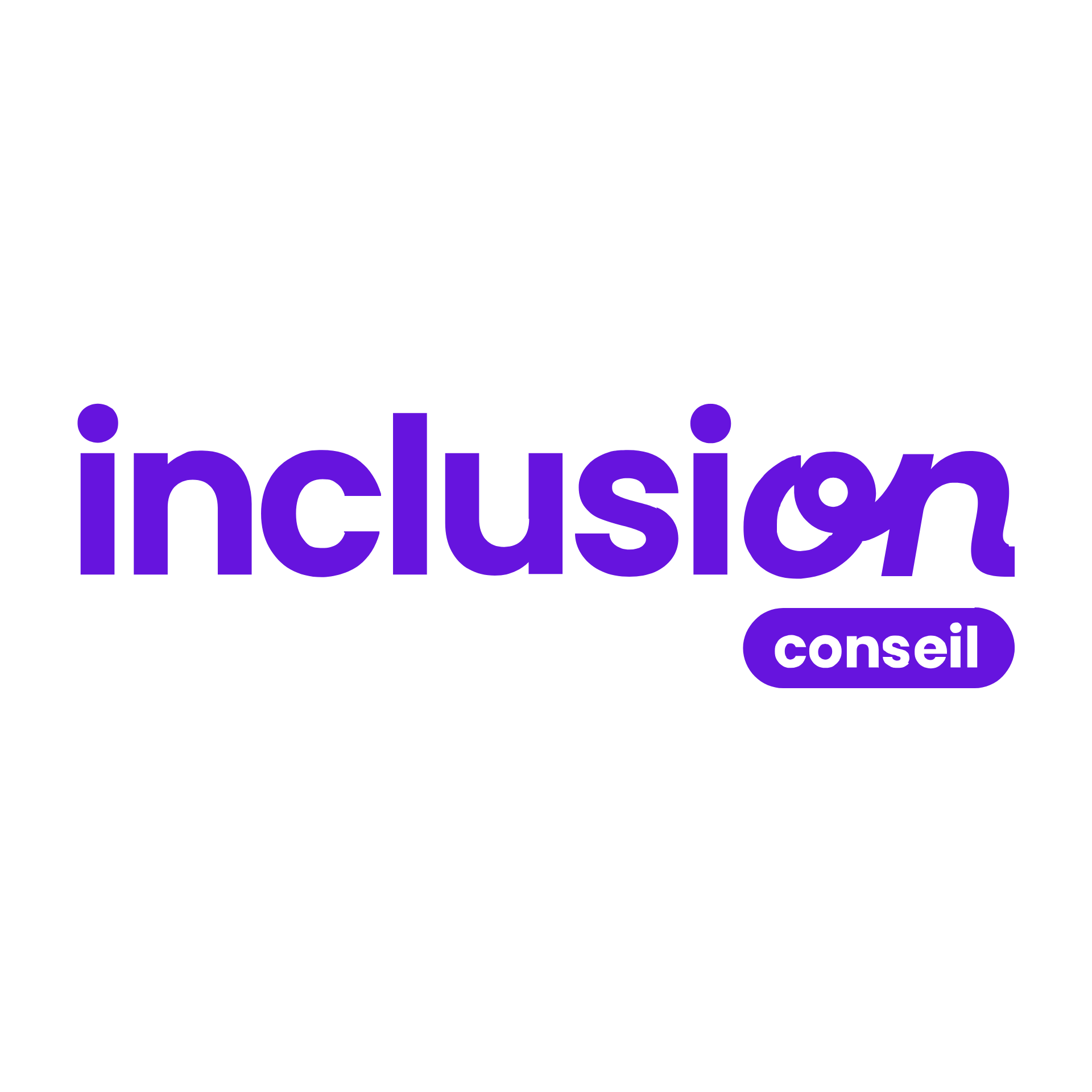 INCLUSION CONSEILS