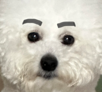 정재인