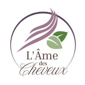 L'Âme des Cheveux
