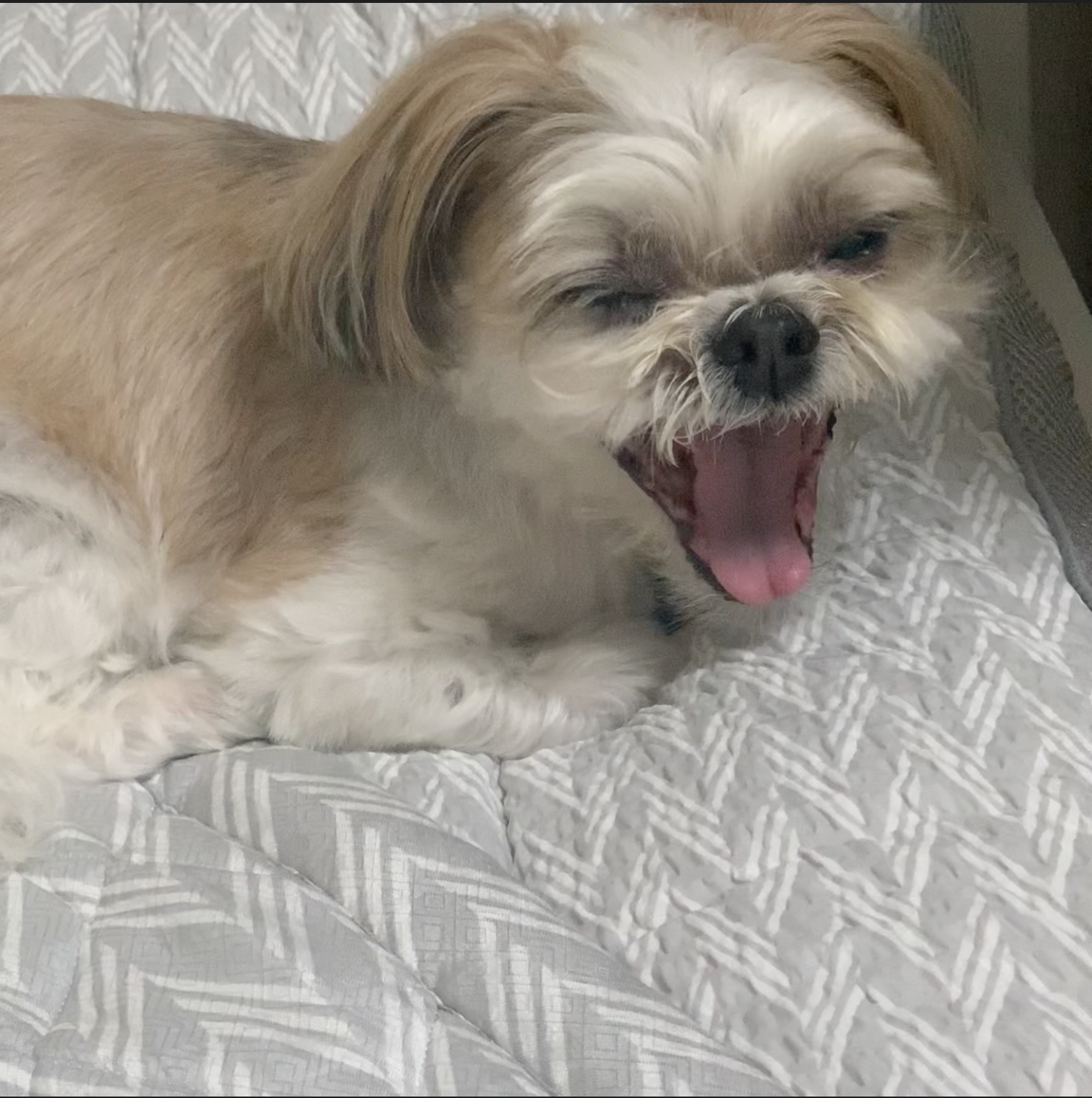 김효재