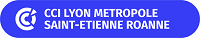 CCI Lyon Métropole - Pôle immobilier & achats