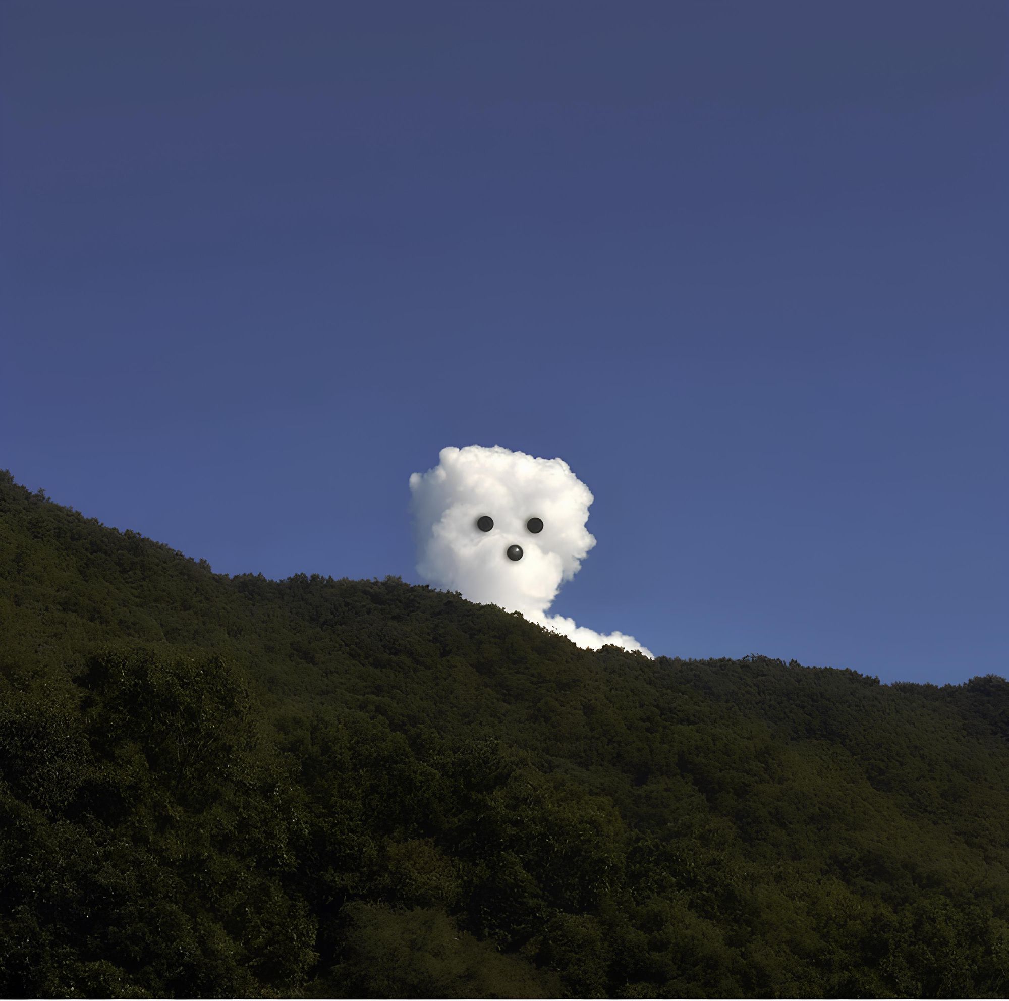 영지