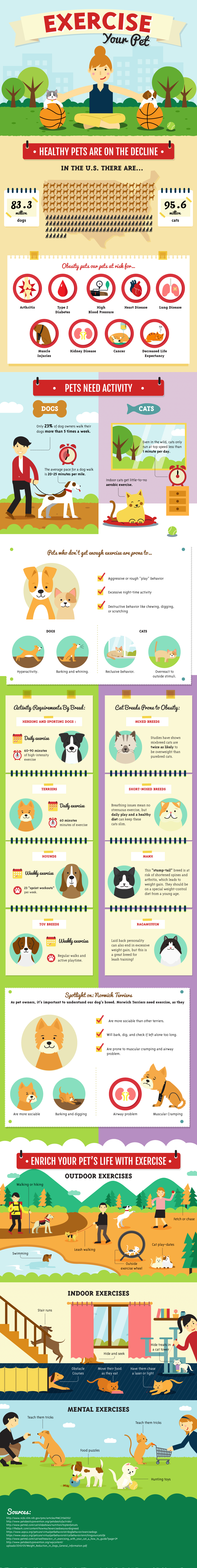 Exercise your Pet Infographic