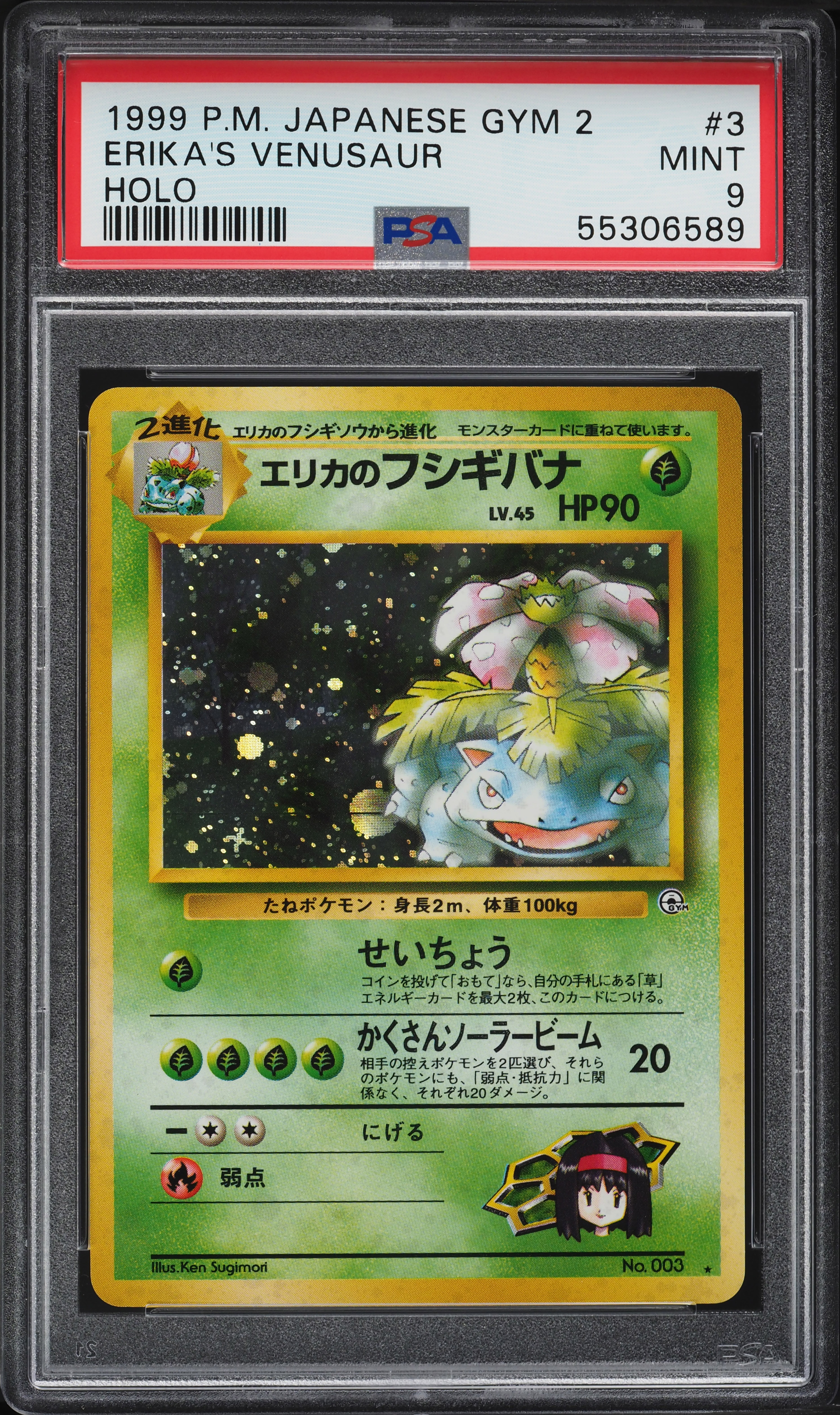 旧裏 エリカのフシギバナ Erika's Venusaur Gym Holo v304977_2022022309310458R_33.jpg