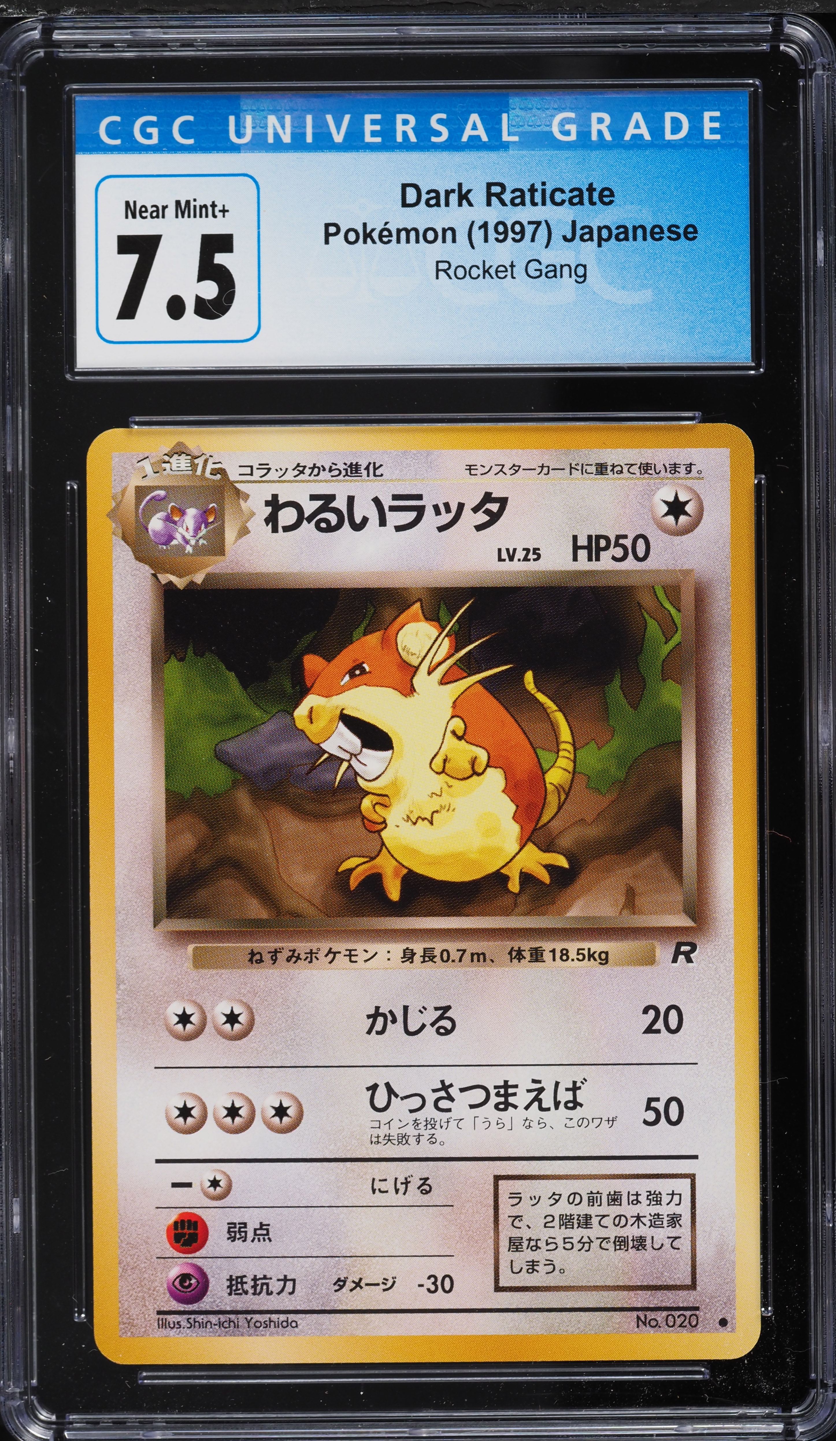 1997 Pokemon Japanese Rocket Gang Dark Raticate #20 CGC 7.5 NRMT+