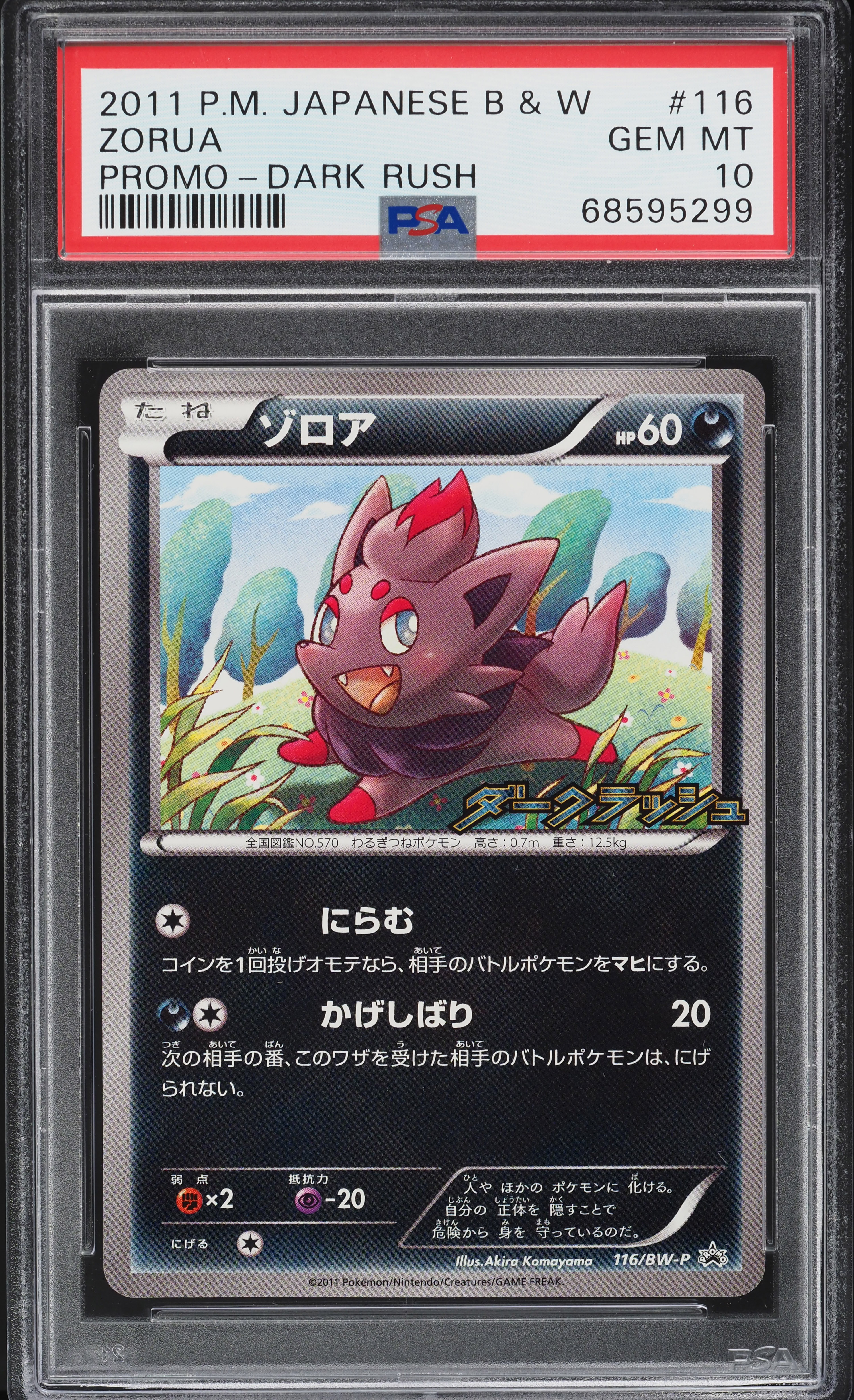2011 Pokemon Japanese Black & White Promo Dark Rush Zorua #116 PSA