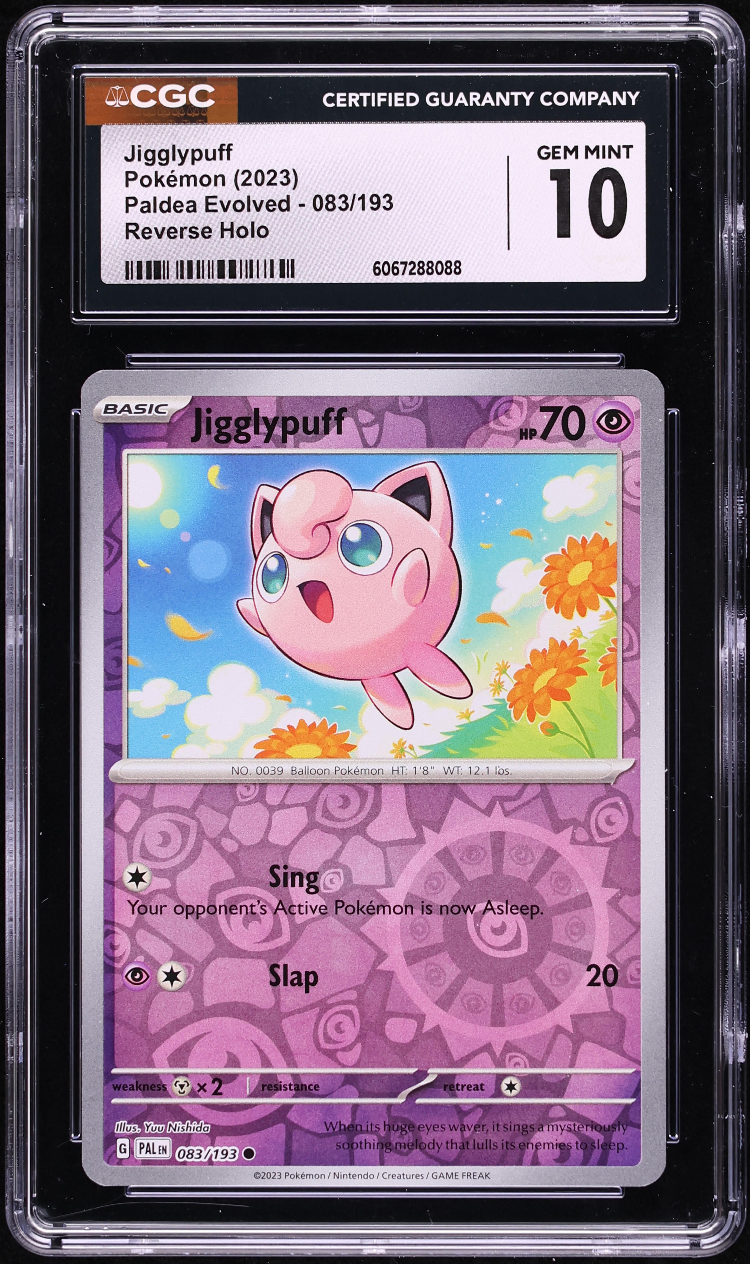 Jigglypuff - SV02: Paldea Evolved [REVERSE HOLO] | Ozzie Collectables