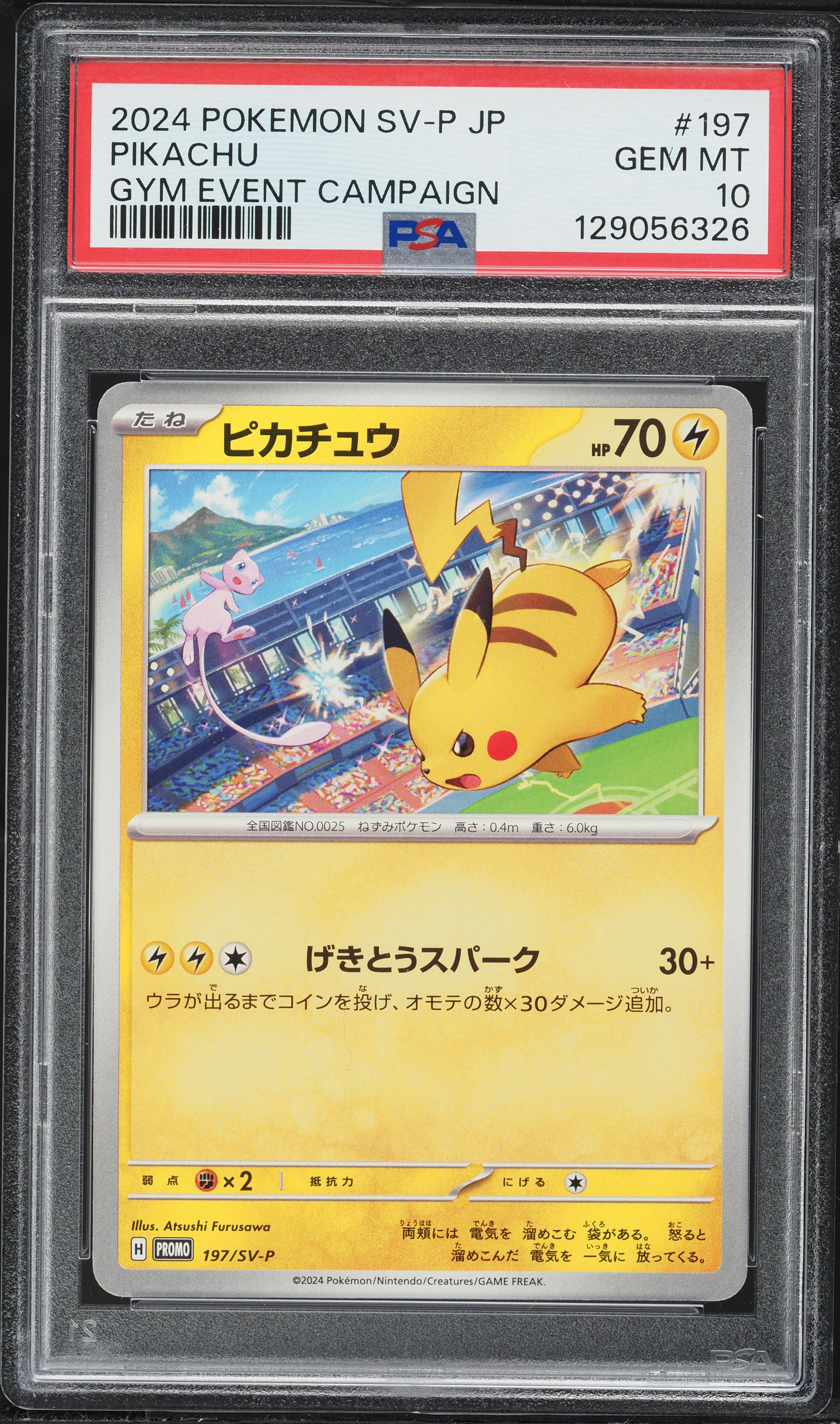 2024 Pokemon Japanese Scarlet & Violet Promo Gym Event Campaign