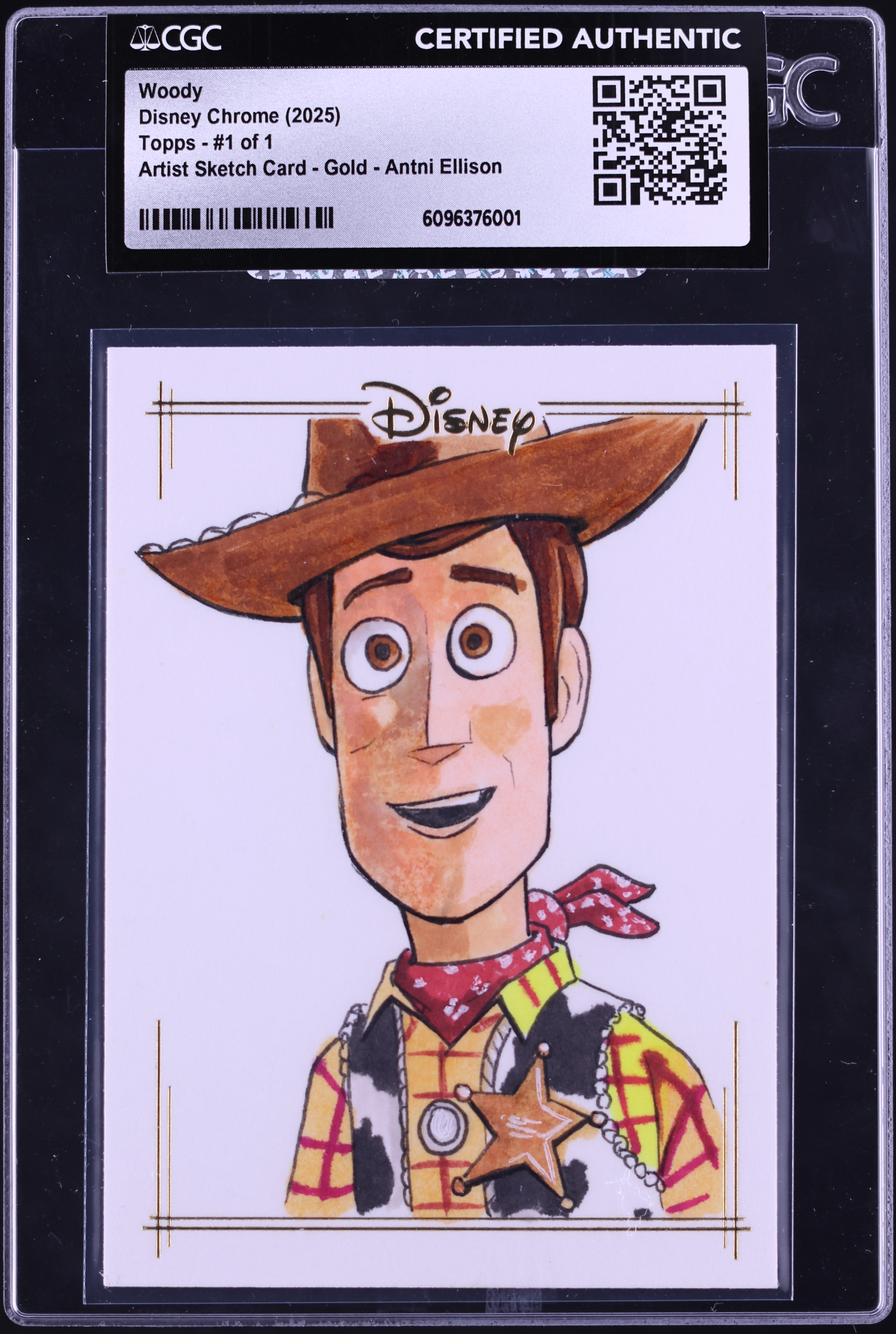 v1785969_20251110120617915M_1.jpg