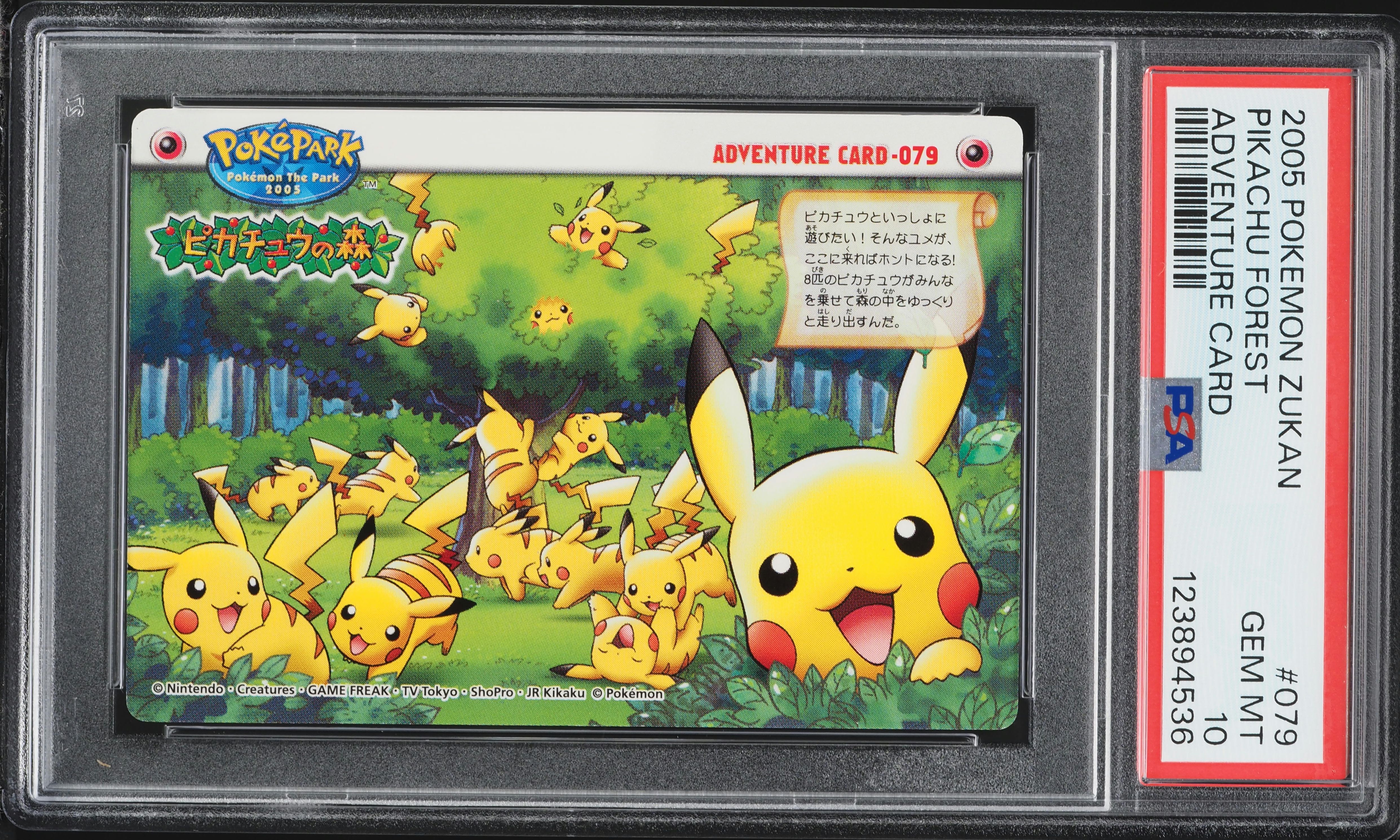 ポケパーク アドベンチャーカード 079 ピカチュウの森 超希少品 v1411805_2020110407190012R_3.jpg