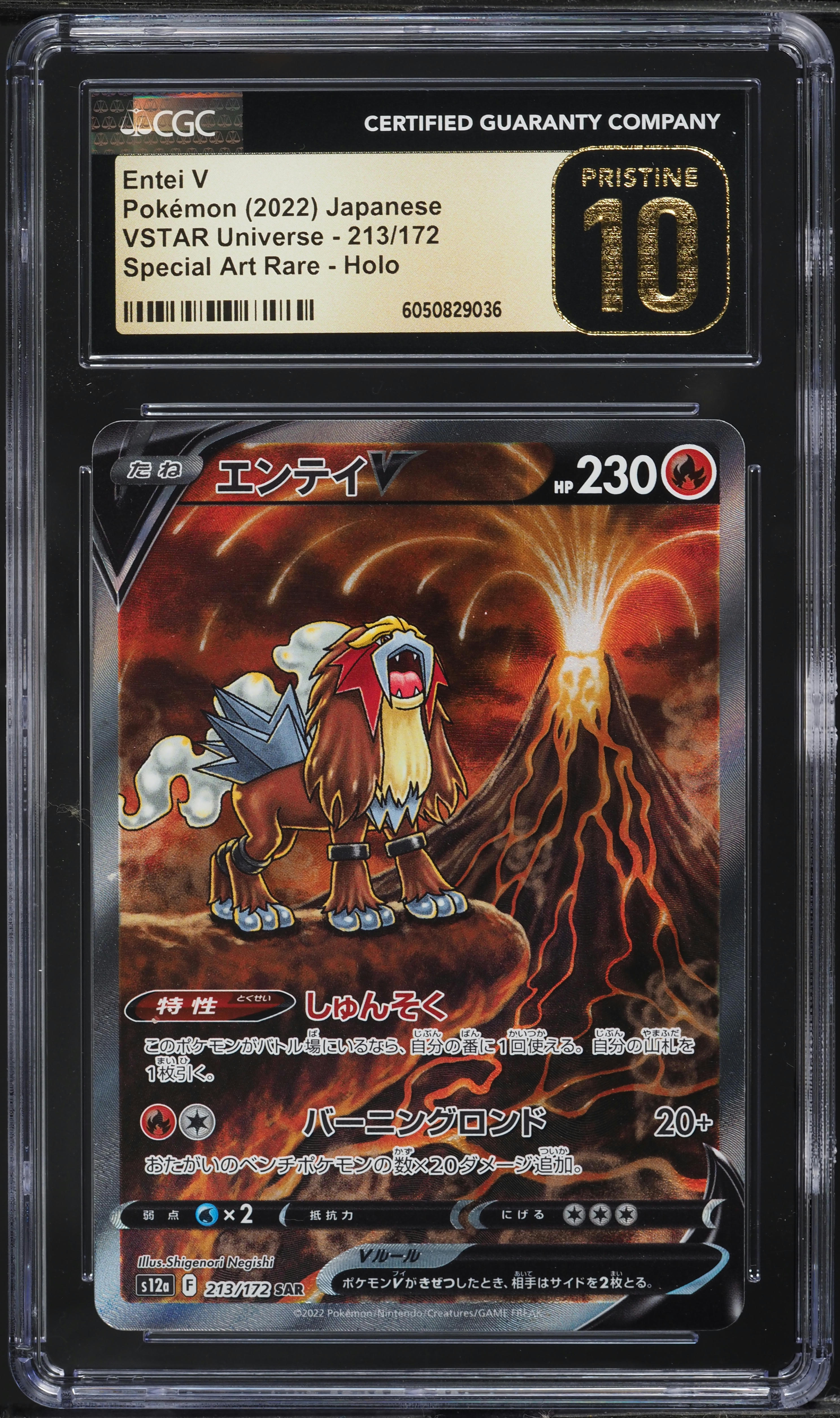 2022 Pokemon Japanese SWSH VSTAR Universe SAR Entei V #213 CGC 10