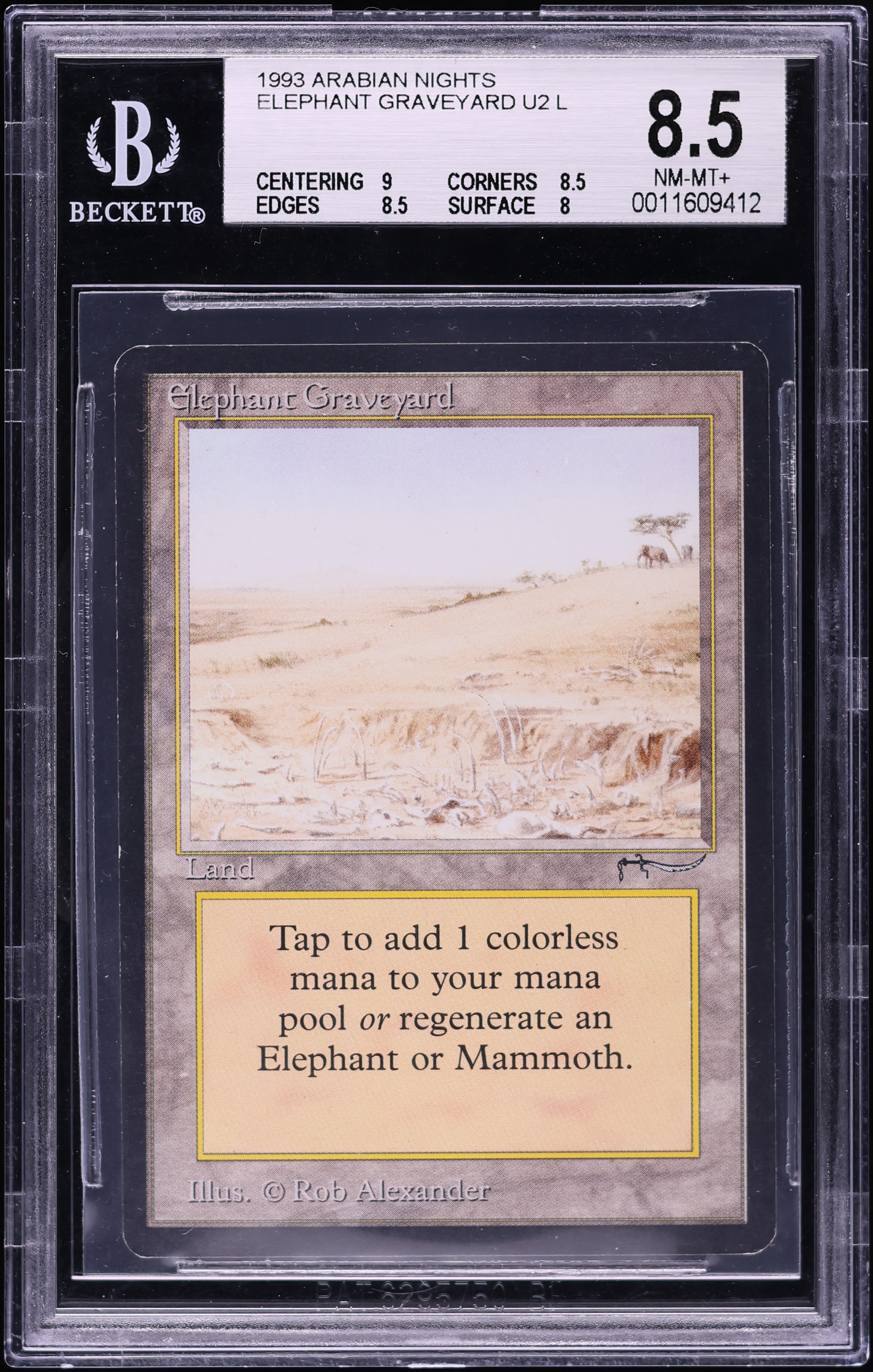 1993 Magic The Gathering MTG Arabian Nights Elephant Graveyard U2
