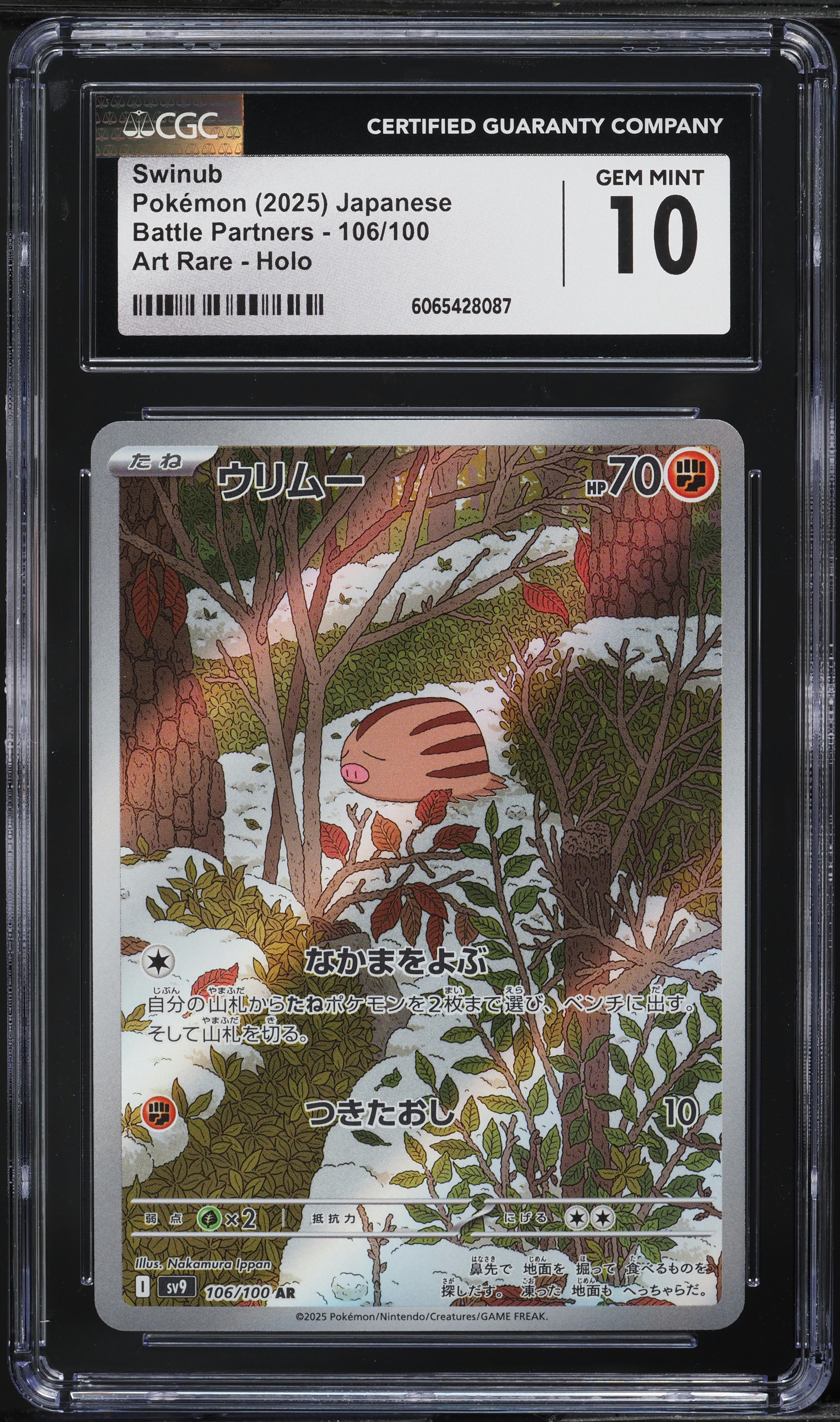 swinub pokemon card value POKEMON! SWINUB 165/159 IR ENGLISH JOURNEY TOGETHER IN HAND FAST SHIP 24 HRS