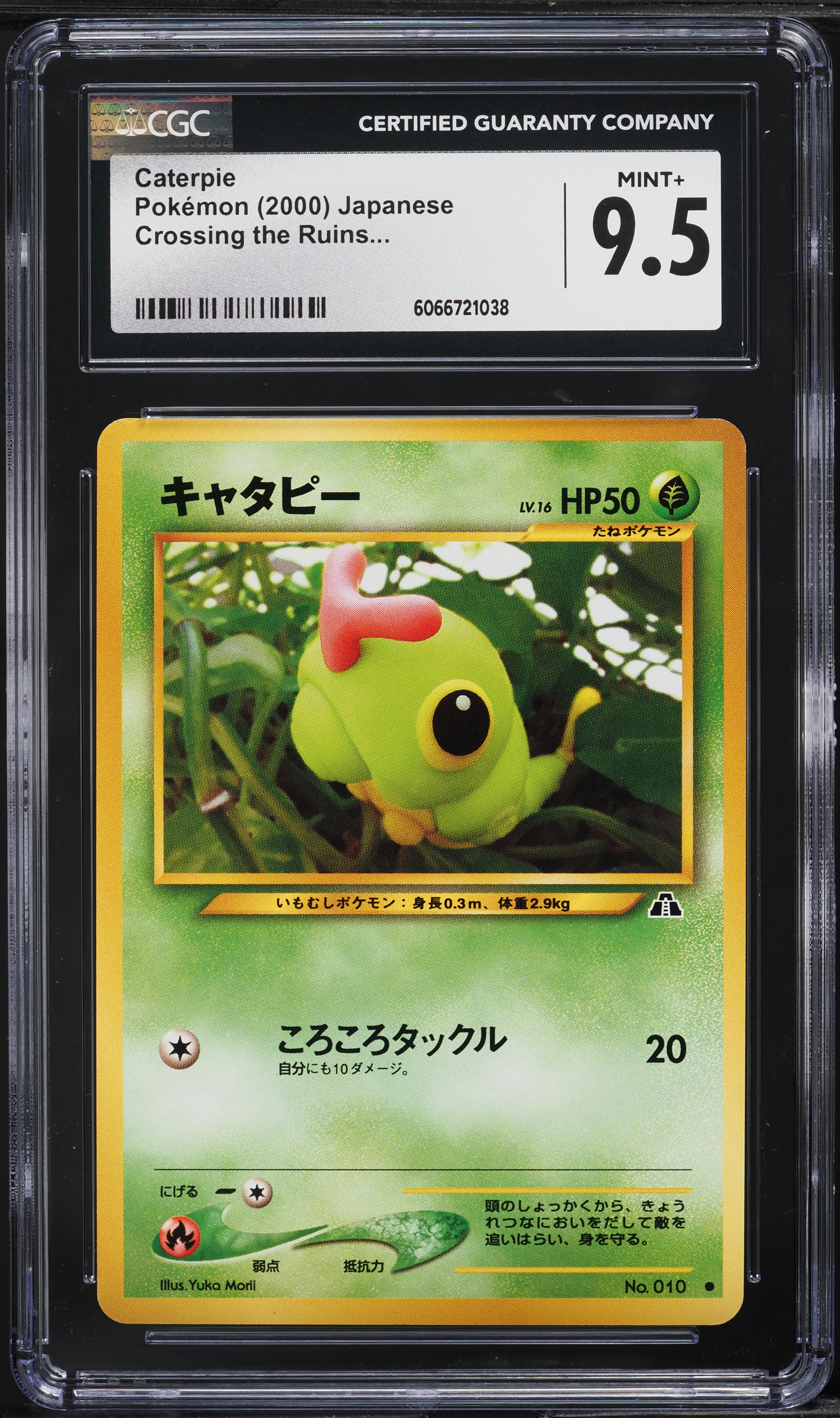 1995 caterpie pokemon card value 2000 Japanese Neo 2 #10 CGC 9.5 MINT+ on Fanatics Collect Listed cards may have imperfections. Caterpie [1st Edition] #53 Prices