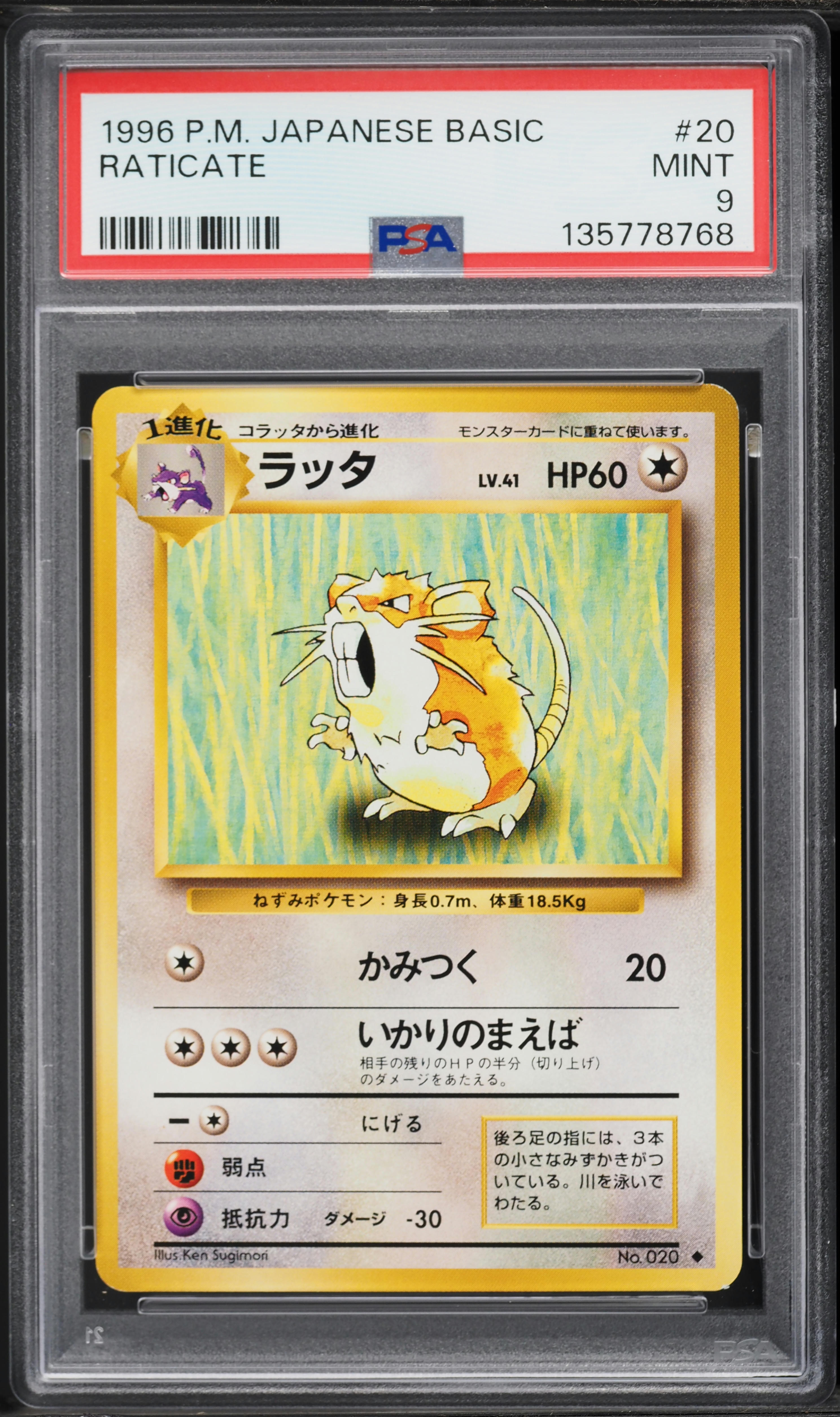 1996 Pokemon Japanese Base Set Raticate #20 PSA 9 MINT on Fanatics