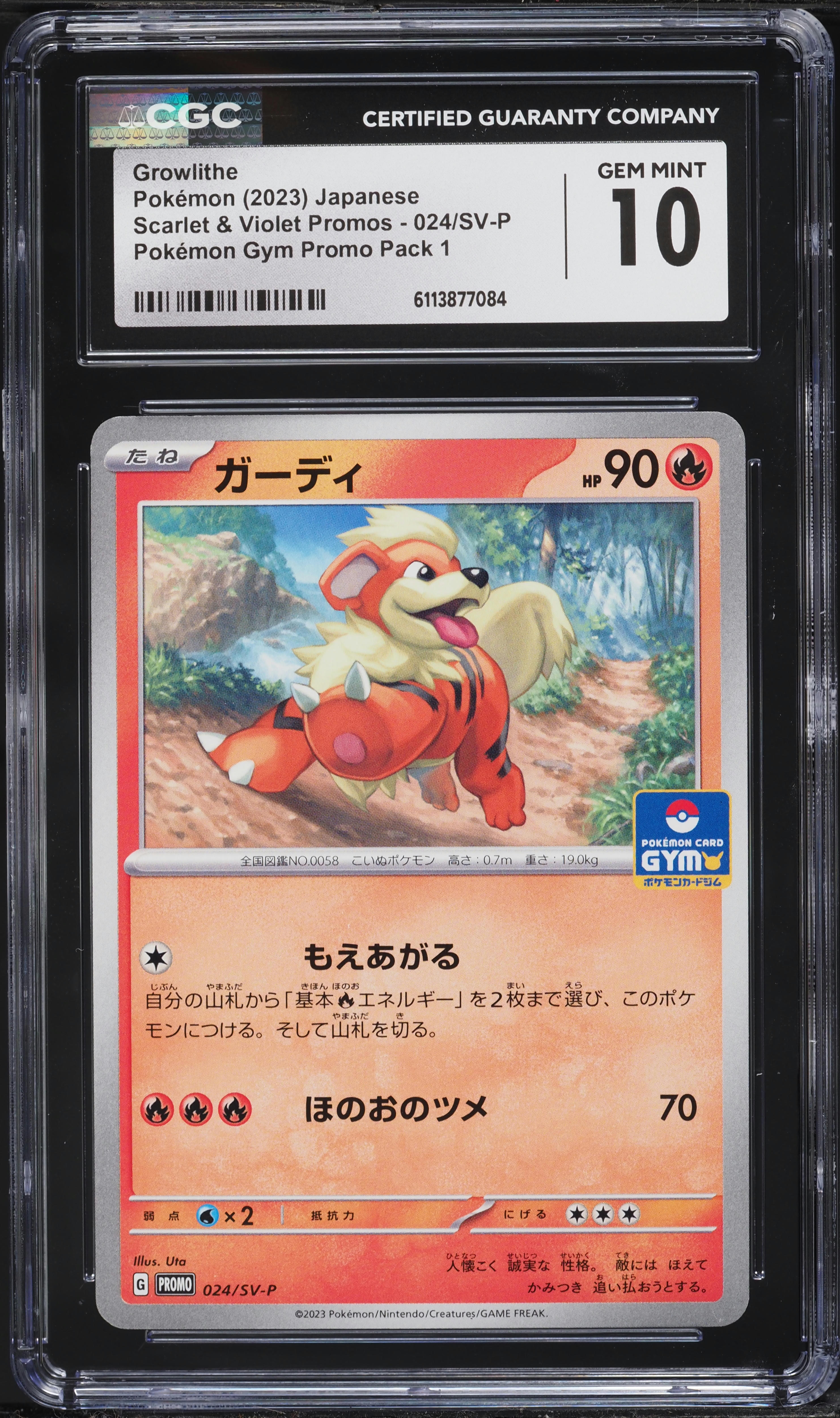 2023 Pokemon Japanese SV Promos Pokémon Gym Promo Pack 1 Growlithe