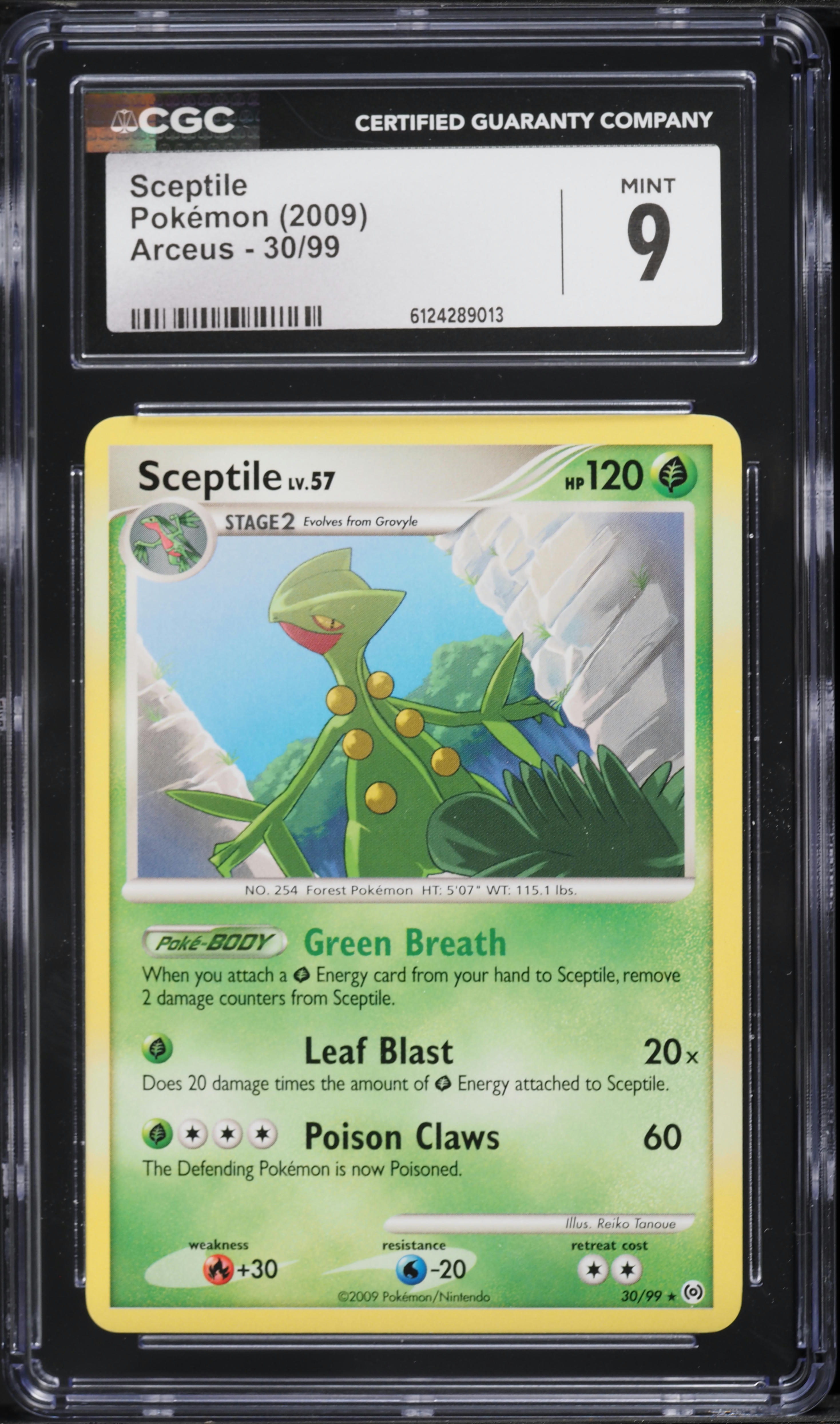 sceptile pokemon card value (30/99) [Arceus]  Plug If heads 2009 Pokemon Arceus Sceptile #30