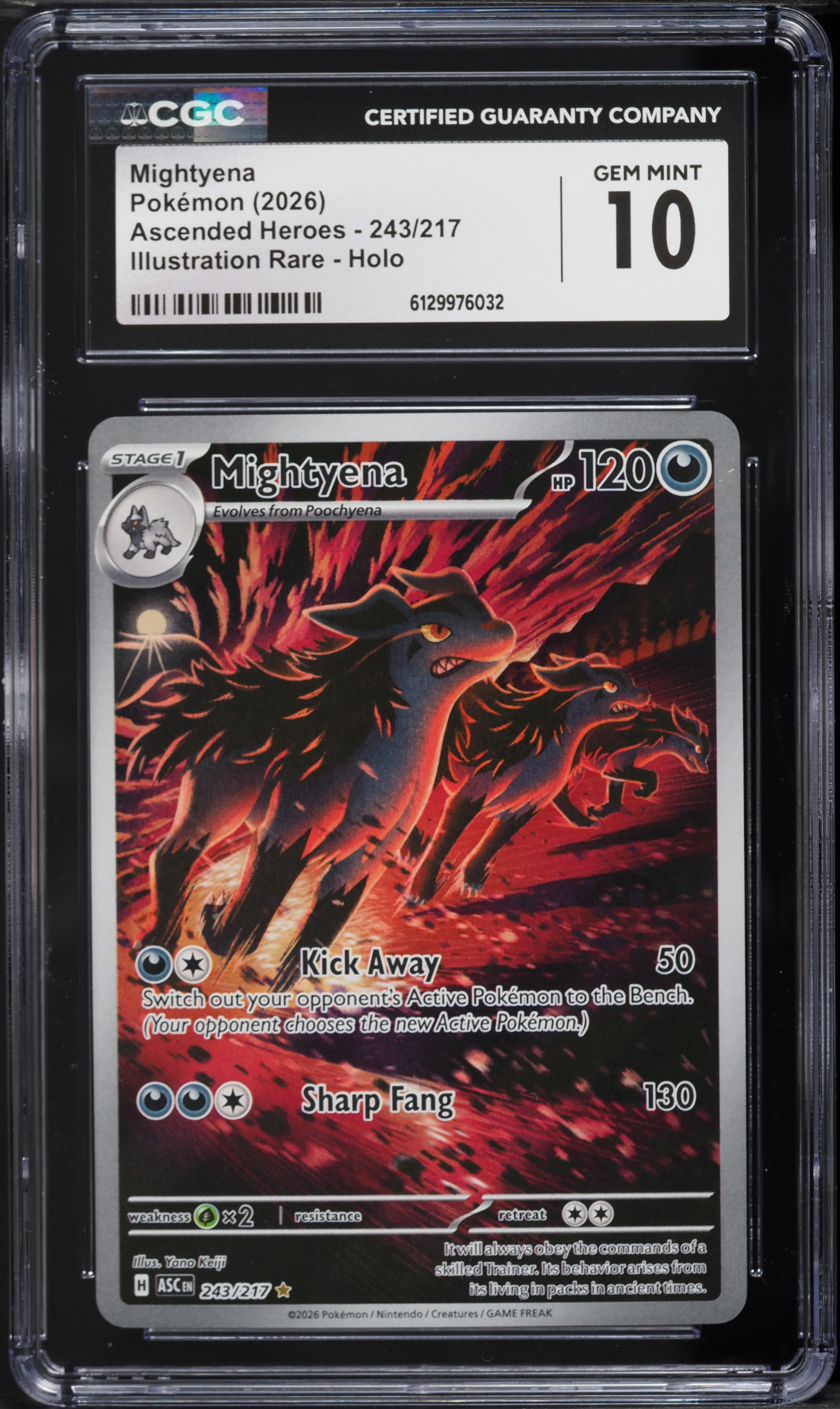 mightyena pokemon card value TCG: Vivid Voltage Pokmon Hit Points110 HP Form Mightyena #66 Prices | Pokemon