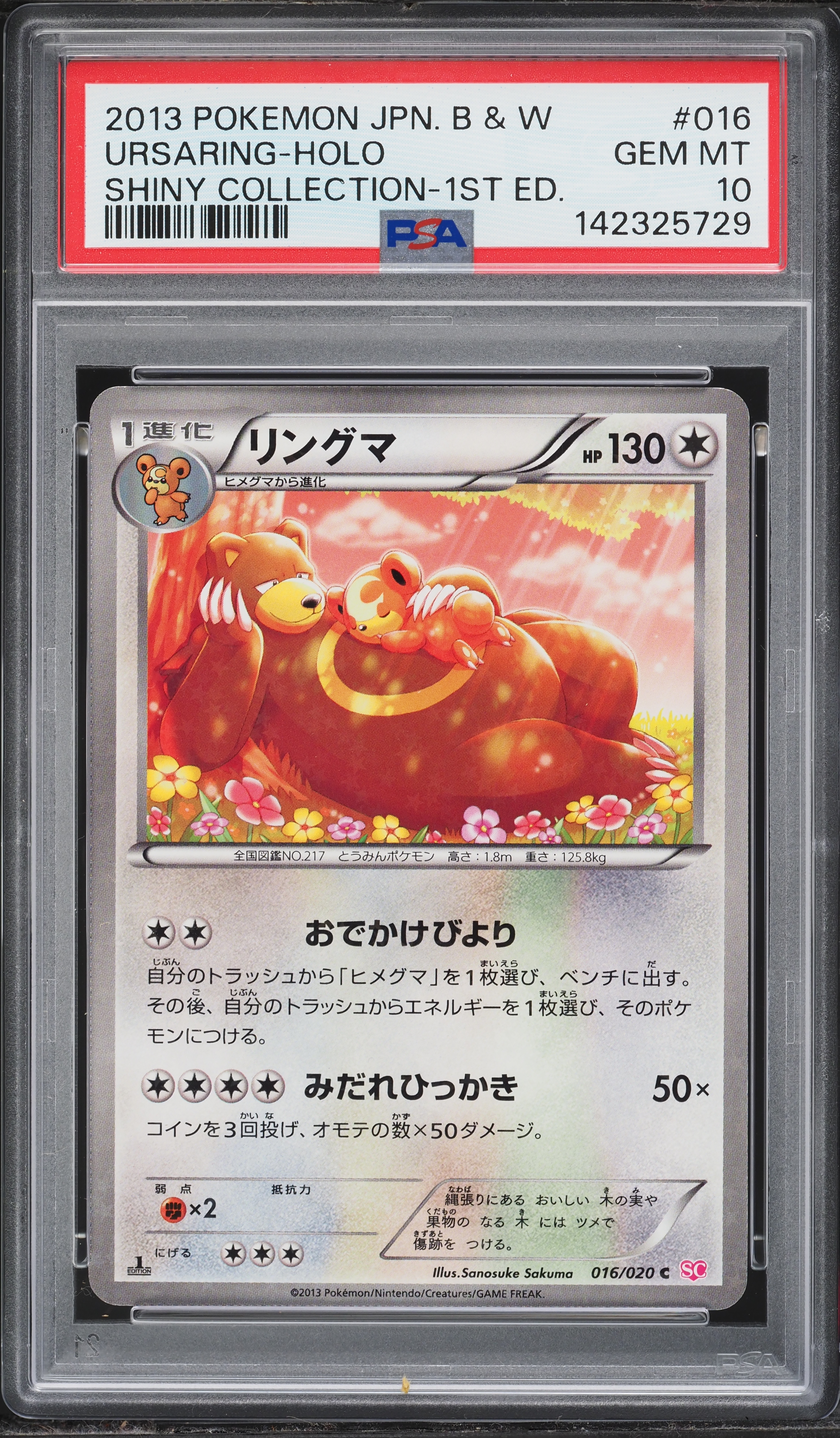2013 Pokemon Japanese BW Shiny Collection 1st Edition Holo