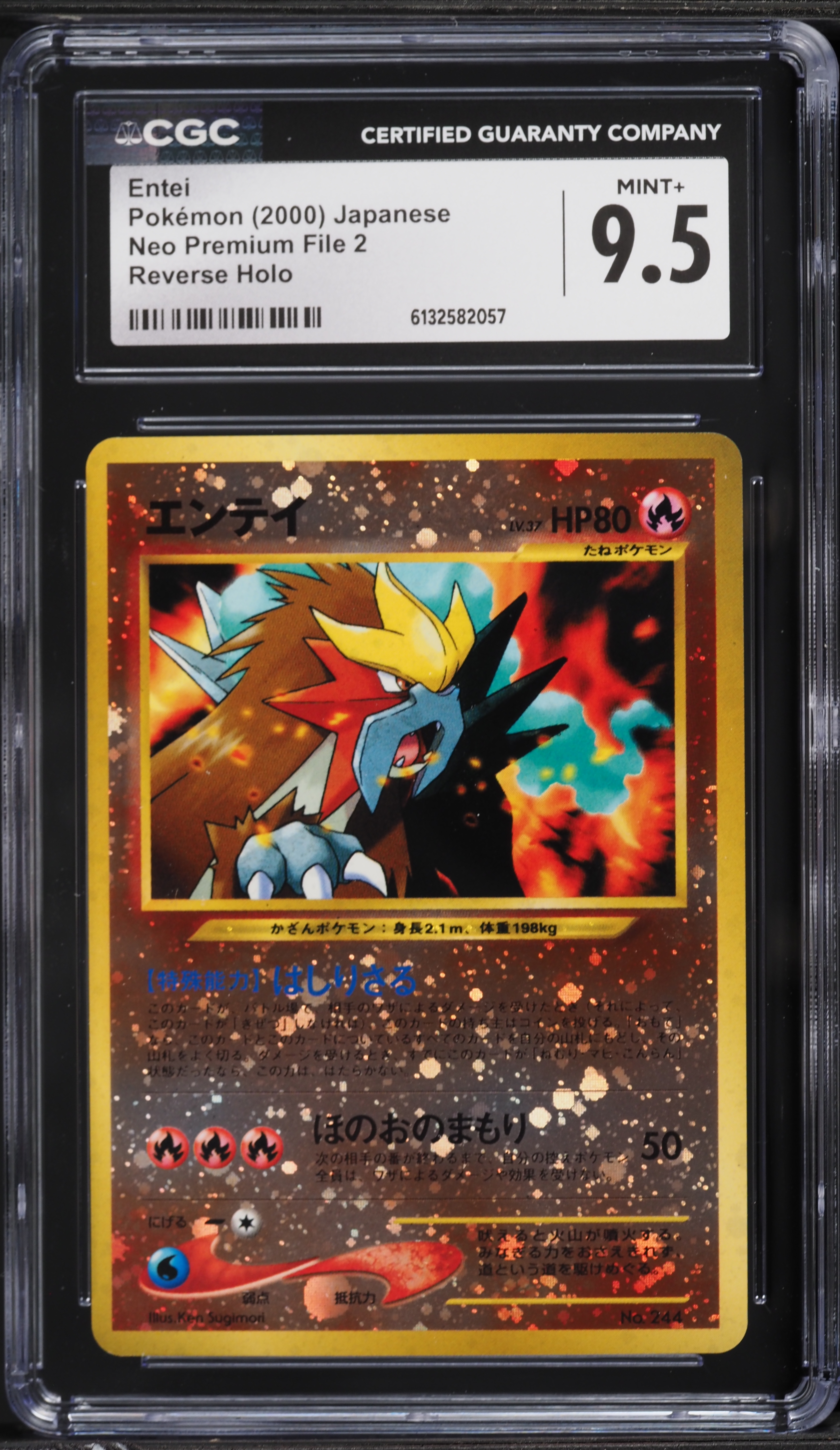 entei pokemon card holo HOLO Entei 019/203 - NM