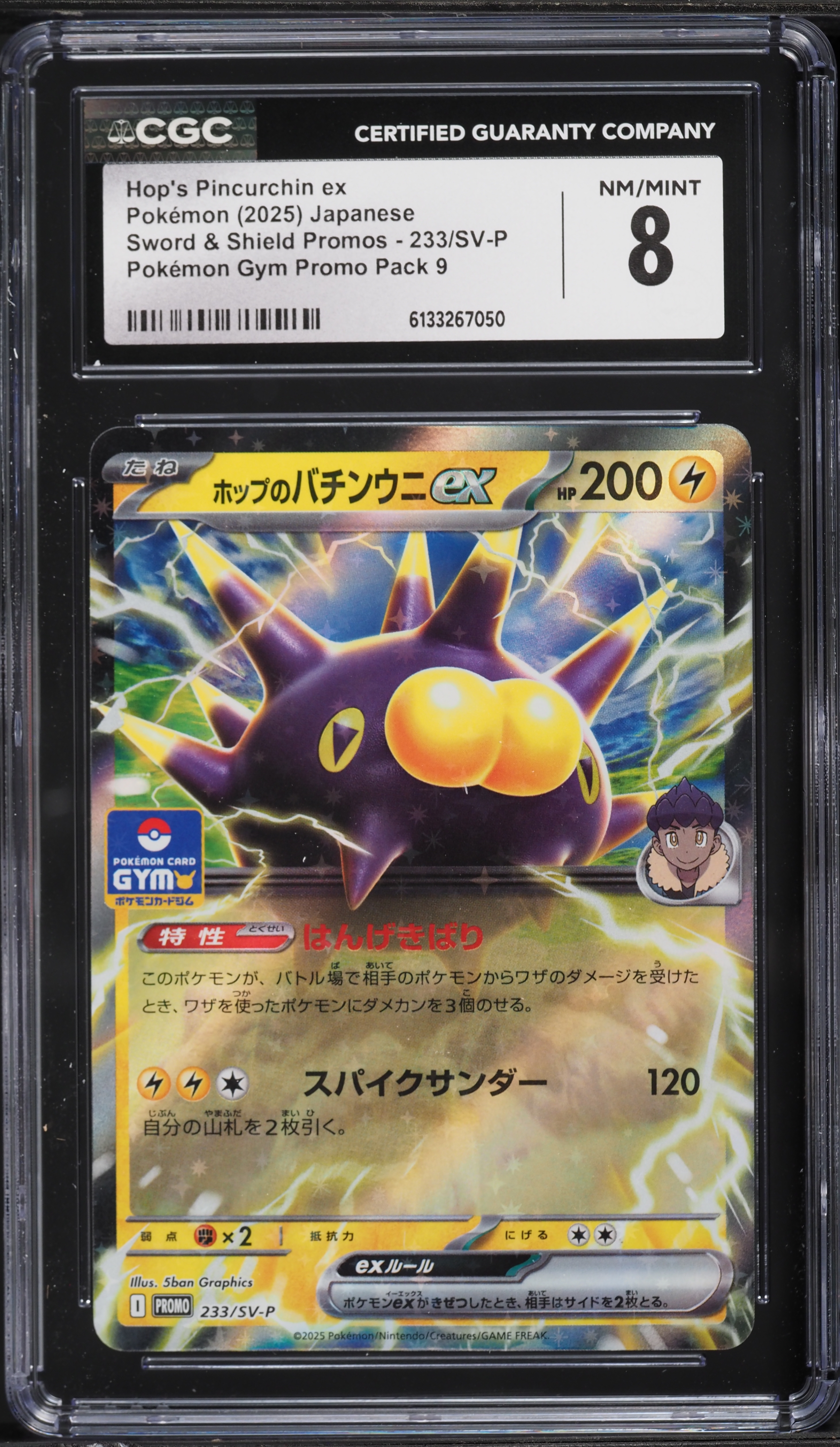 2025 Pokemon Japanese Sword & Shield Promo Gym Pack 9 Hop's