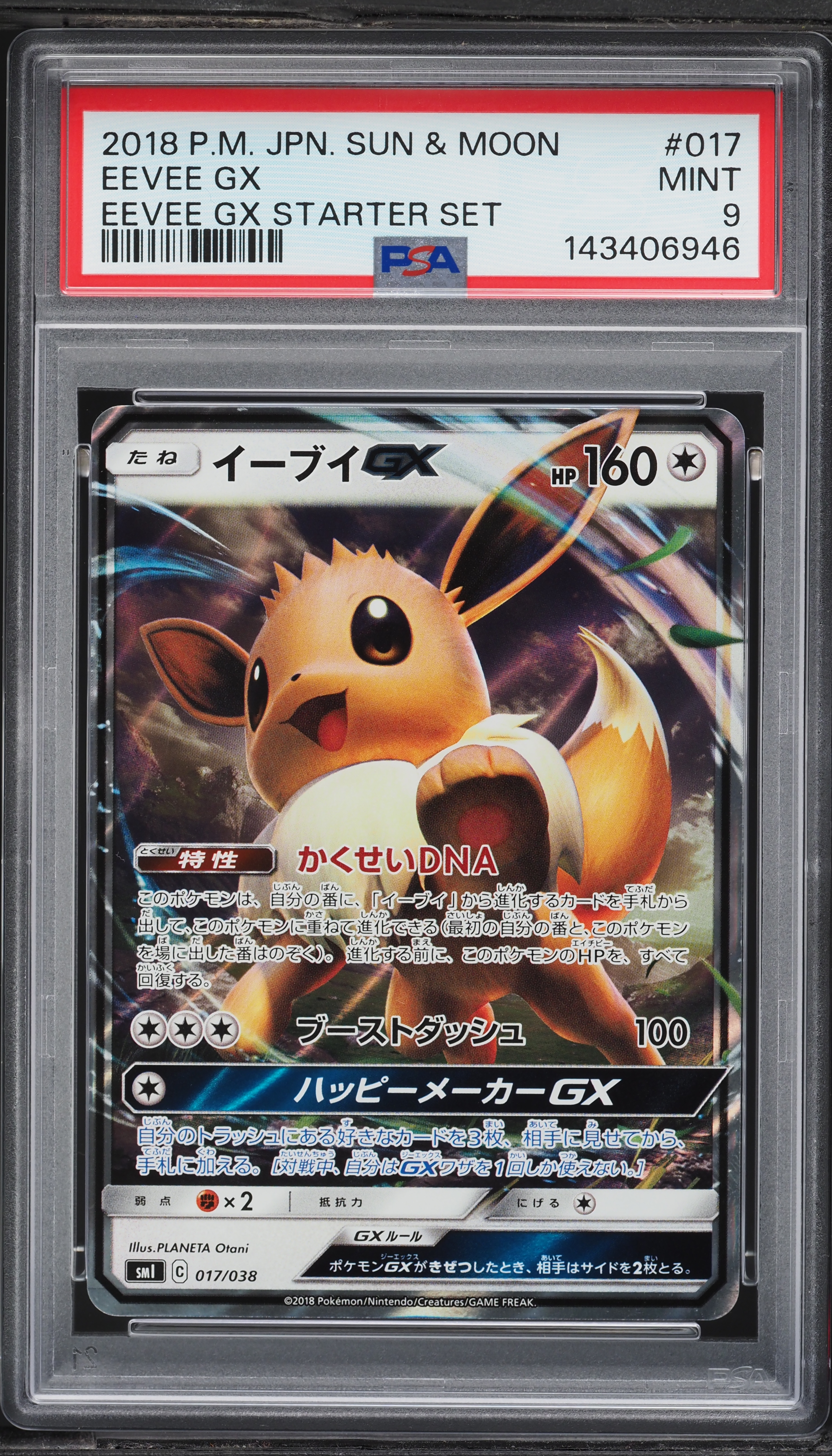 2018 Pokemon Japanese Sun & Moon GX Starter Set Full Art Eevee GX