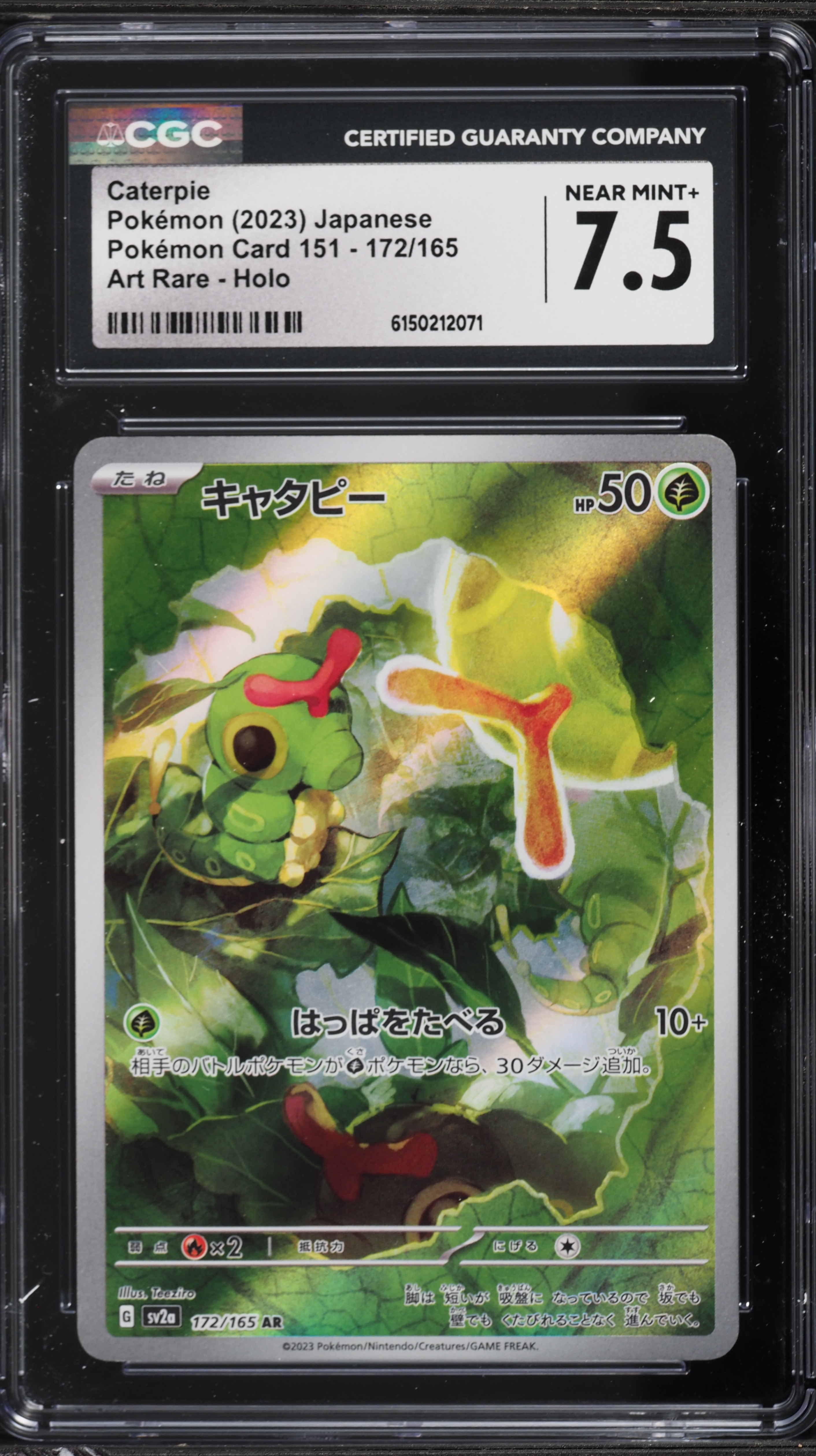 caterpie pokemon card value 2016 010 #pokemon #pokemonart #tcg #caterpie Grass Rarity 2023 Pokemon Japanese Scarlet &
