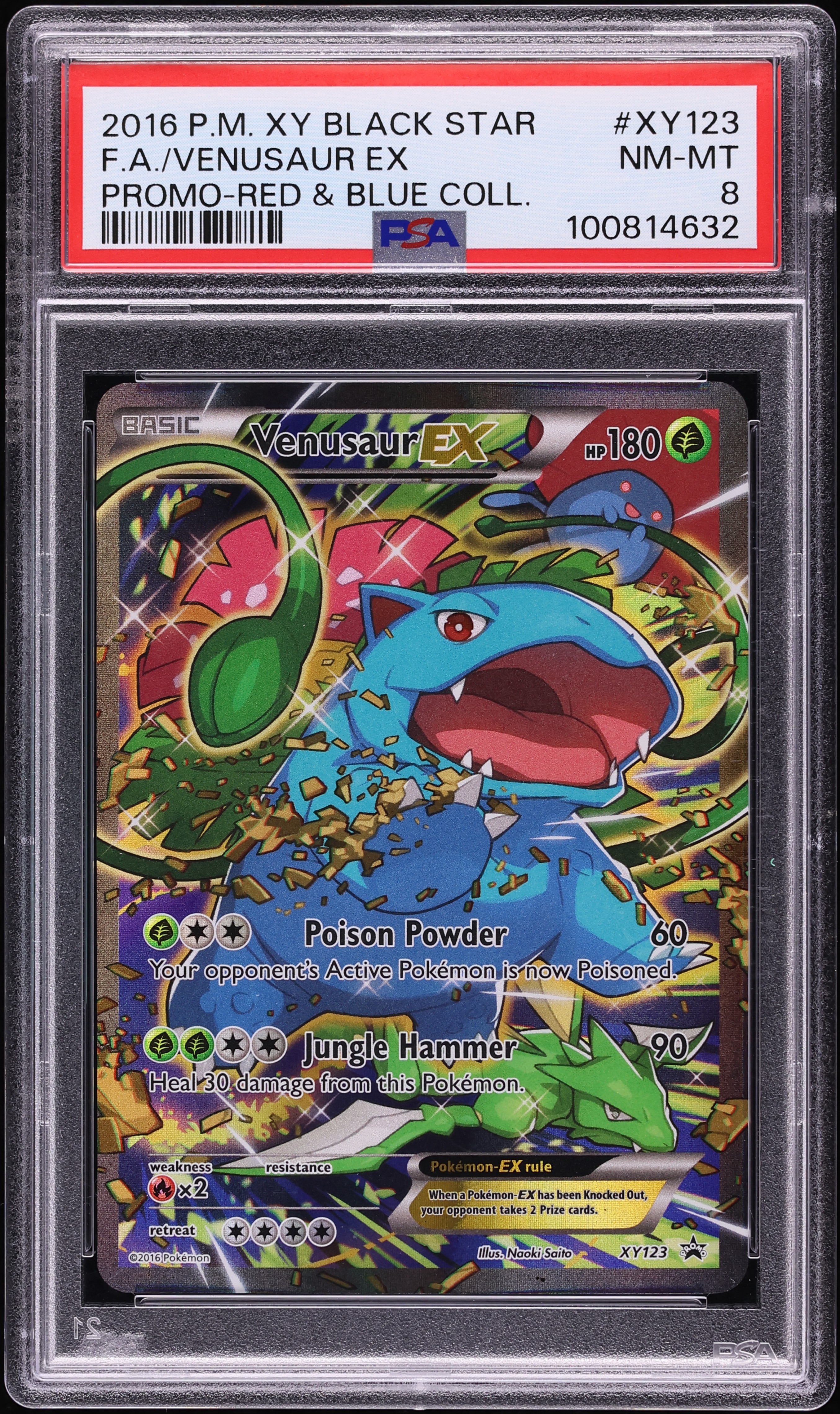 2016 Pokemon XY Promo Red & Blue Collection Full Art Venusaur EX