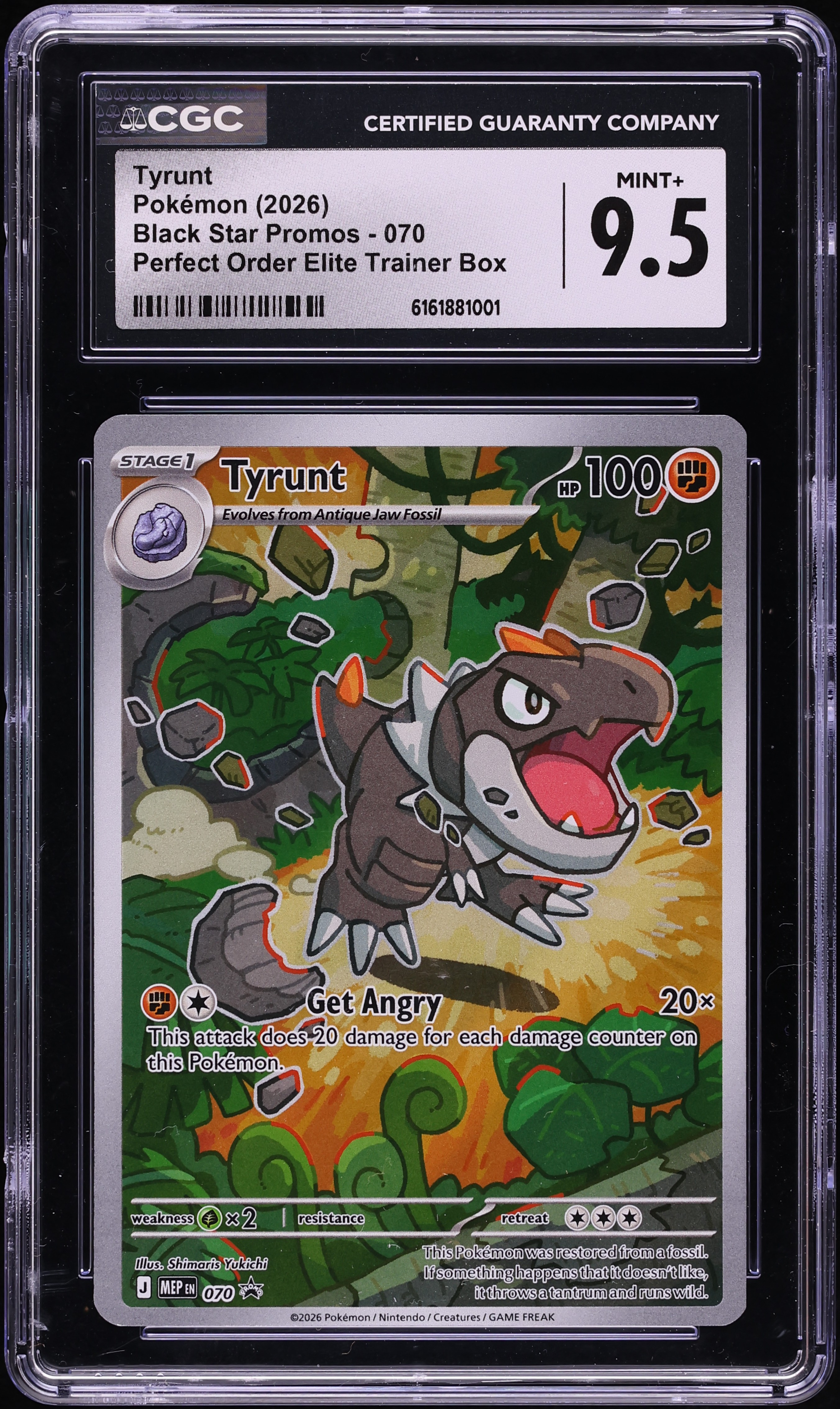 tyrunt pokemon card Tyrunt