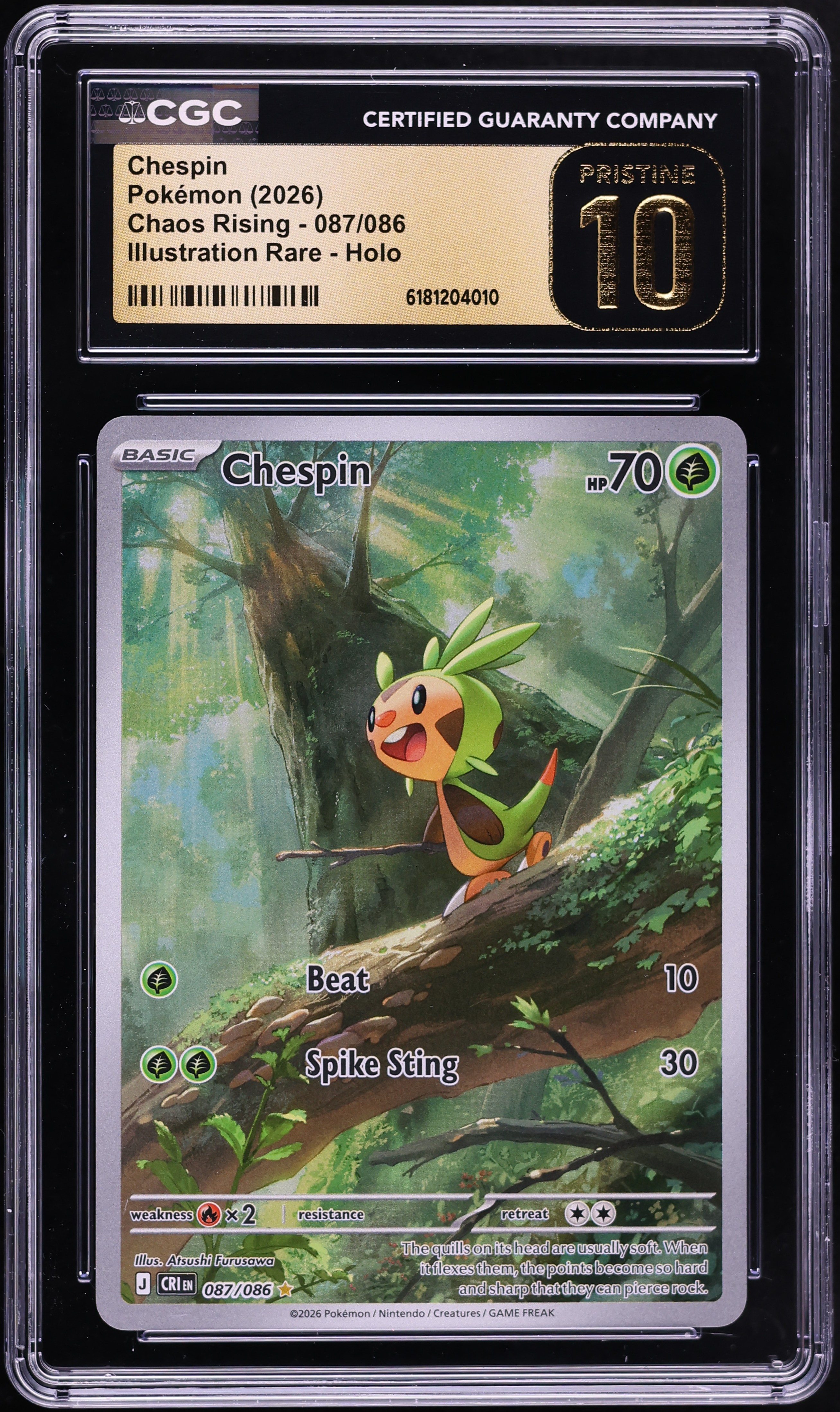 pokemon card chespin Chespin
