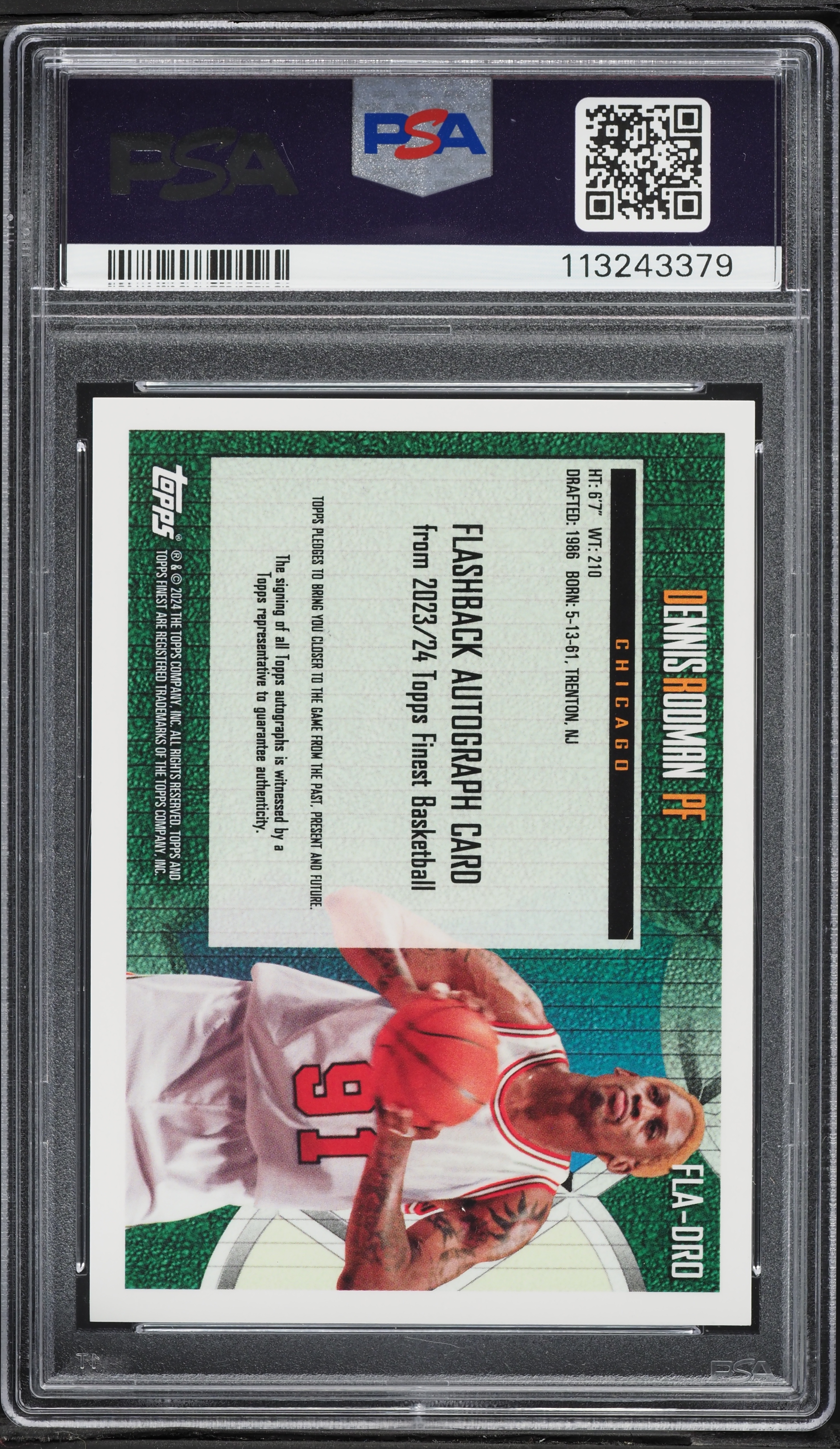Fanatics Collect | Sports Cards, Pokémon & Auction Marketplace