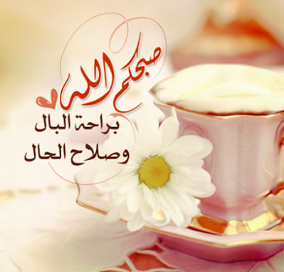 uploaded image