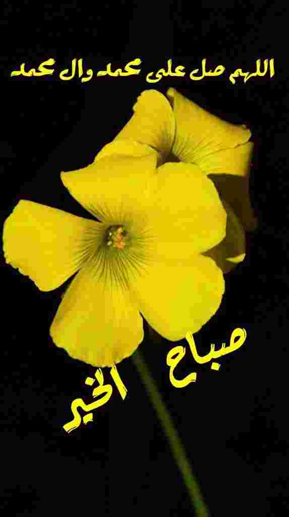 لبنانية