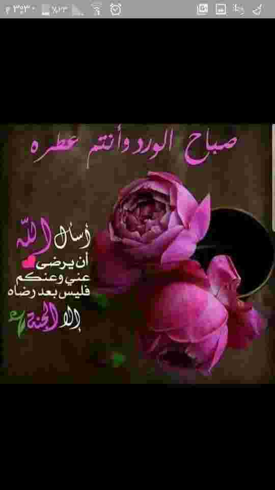 uploaded image