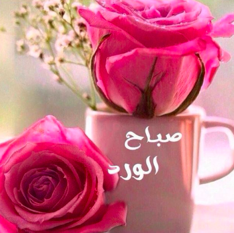uploaded image