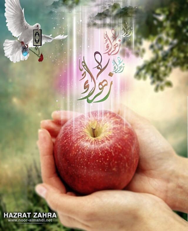 uploaded image