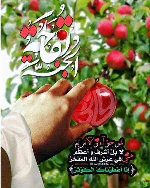 uploaded image