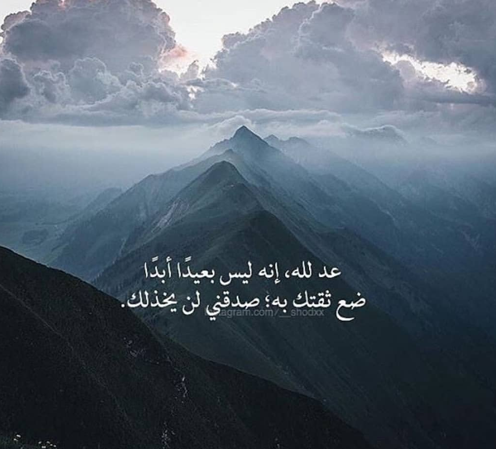 uploaded image