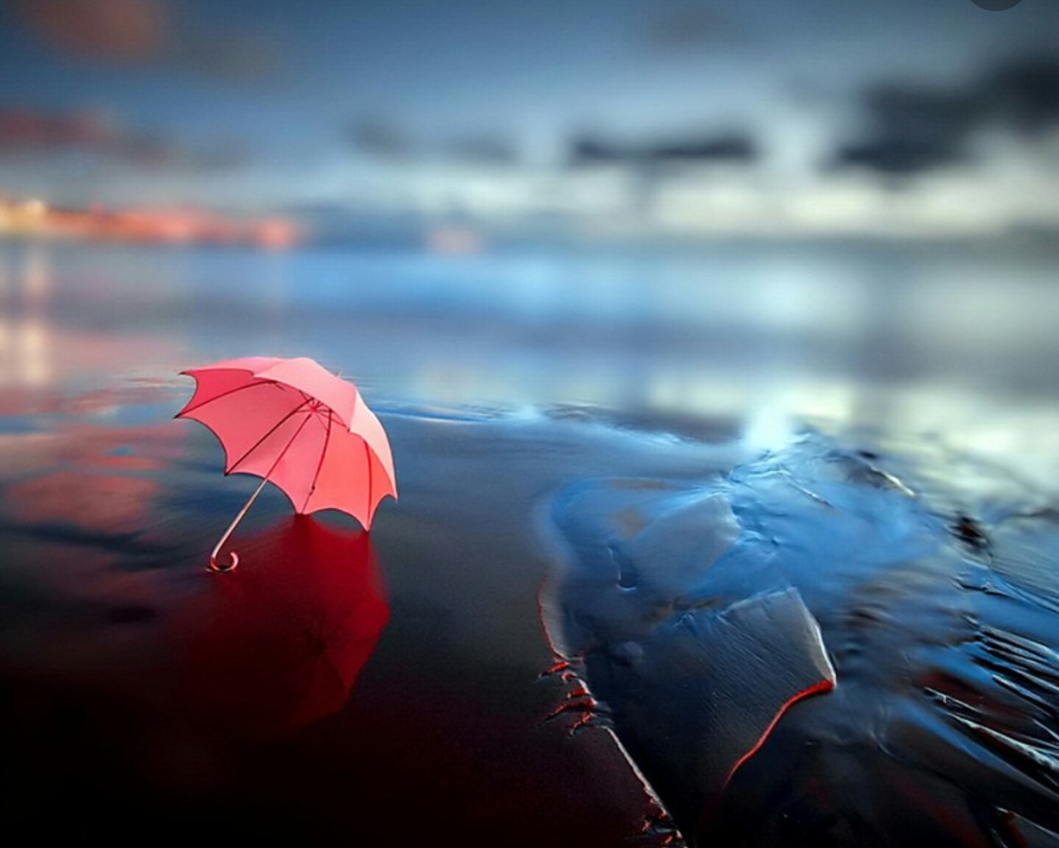 uploaded image