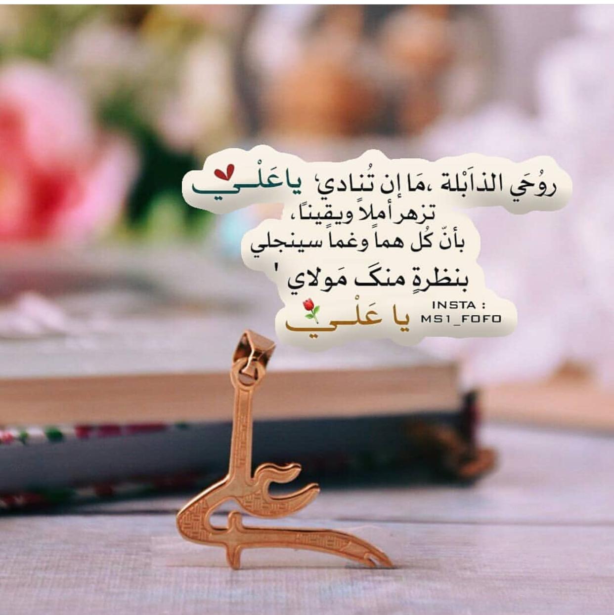 uploaded image