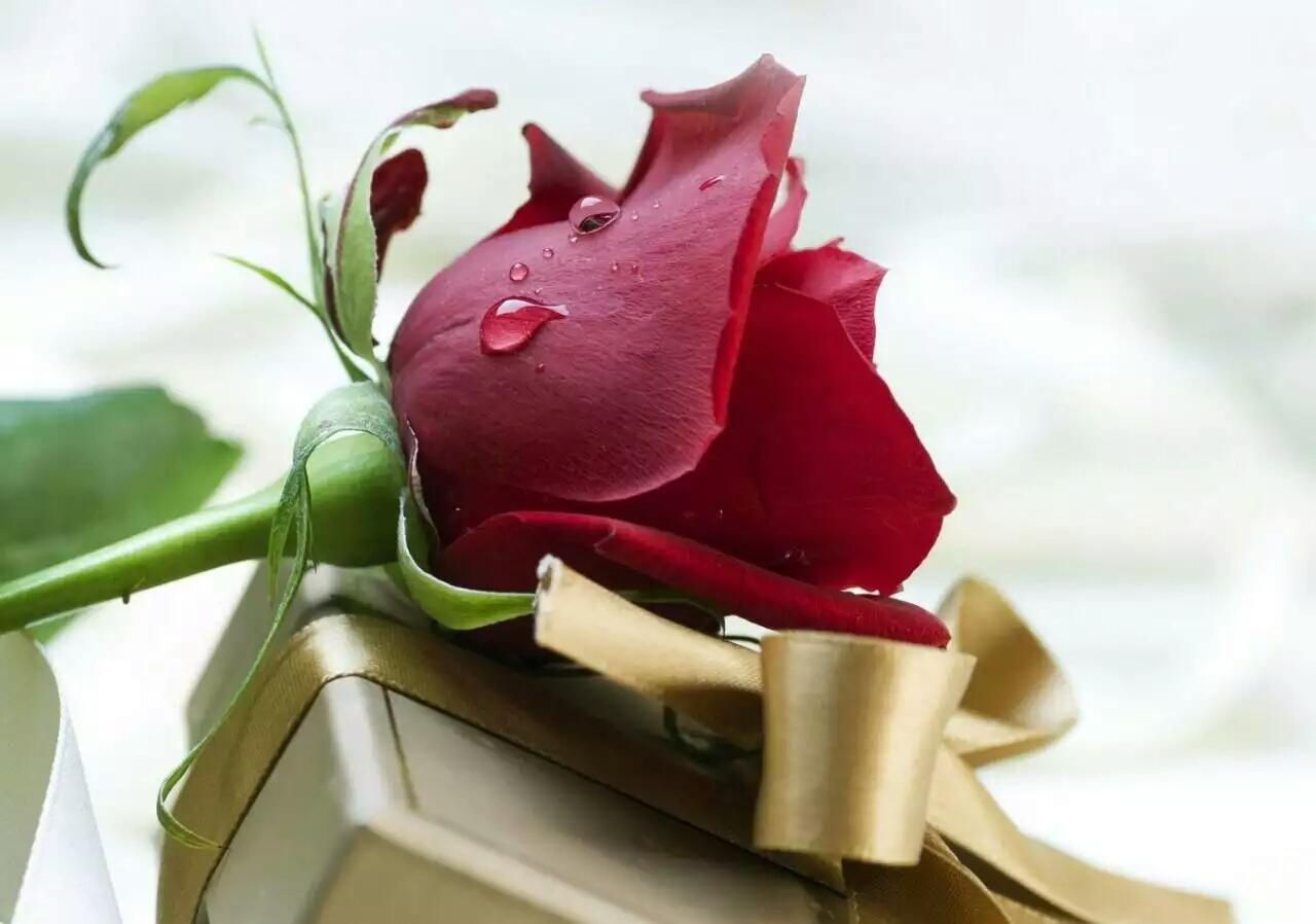 uploaded image