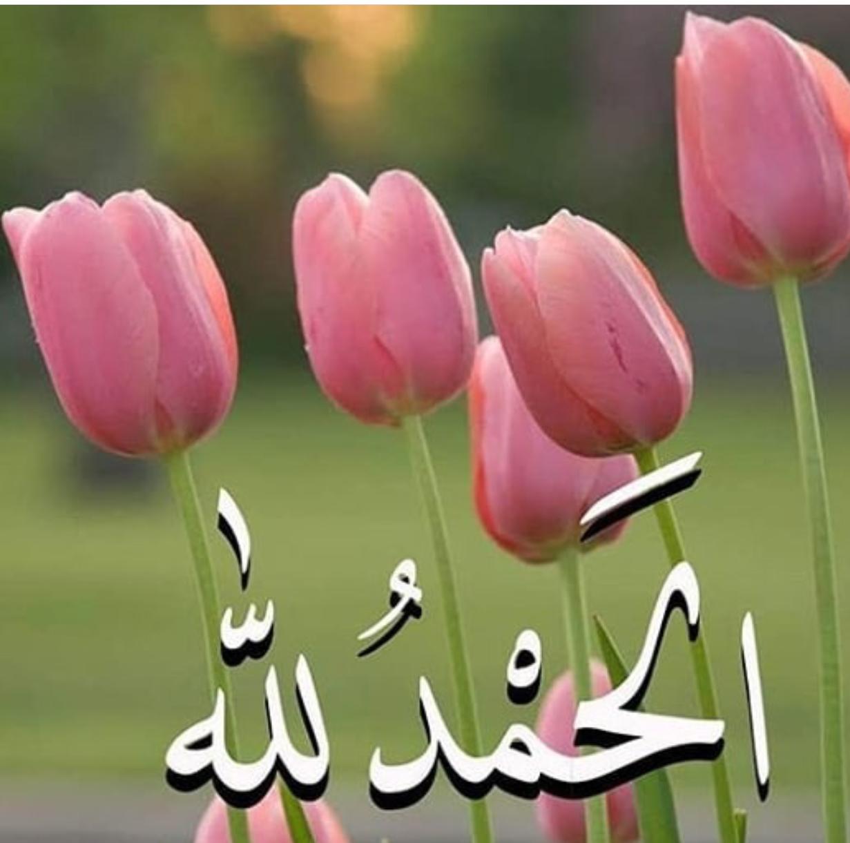 uploaded image