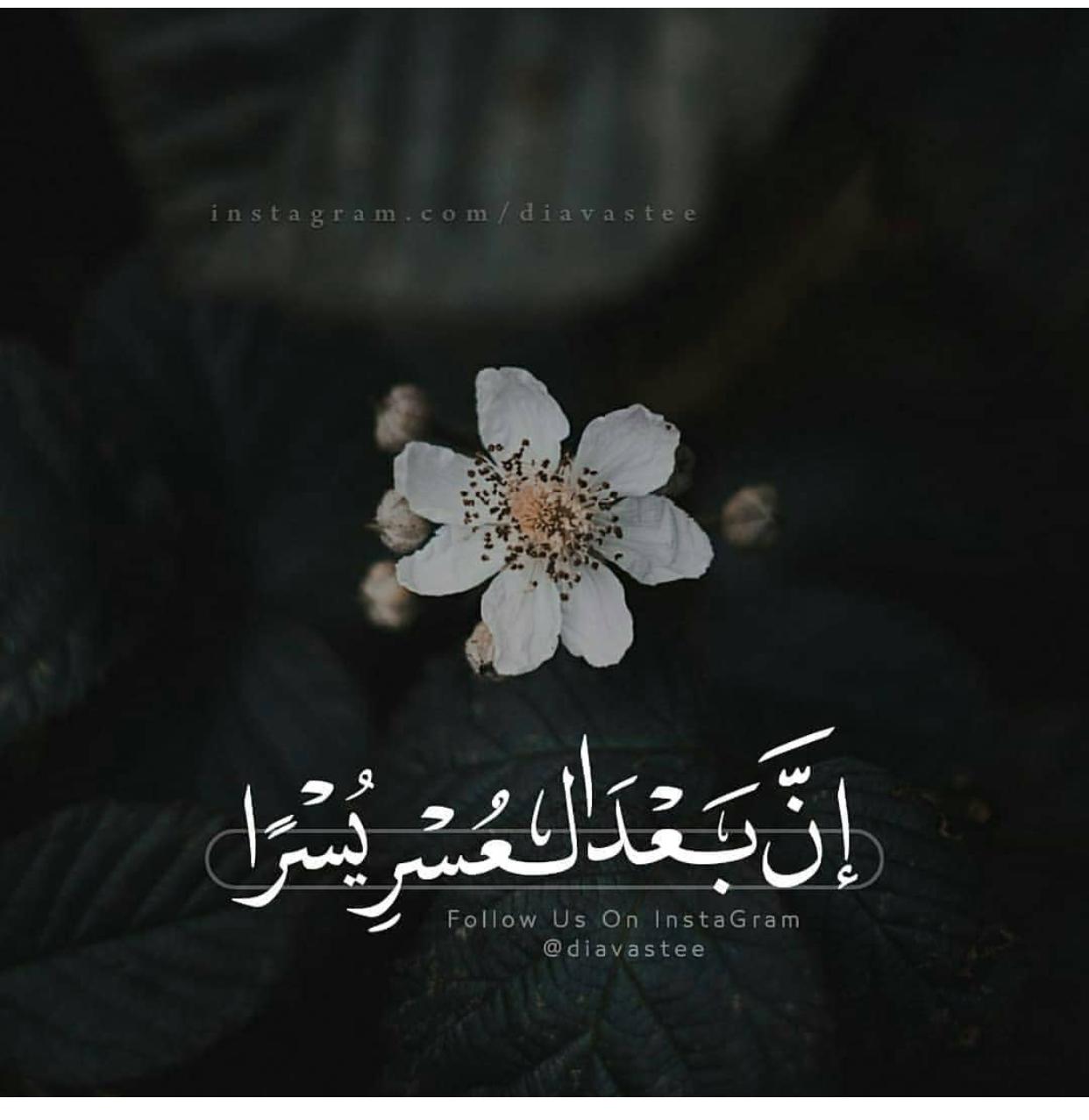 uploaded image