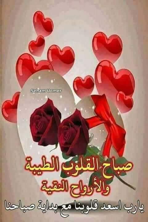 uploaded image