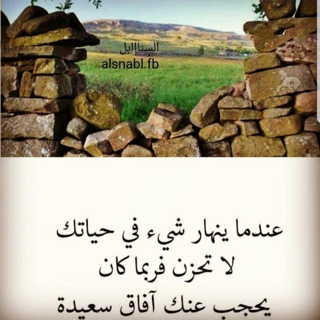 uploaded image