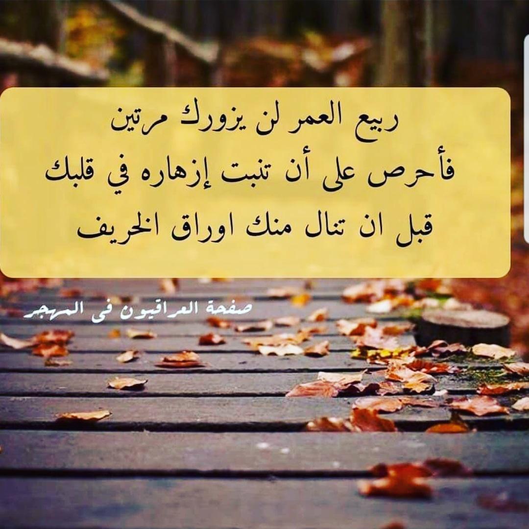 uploaded image