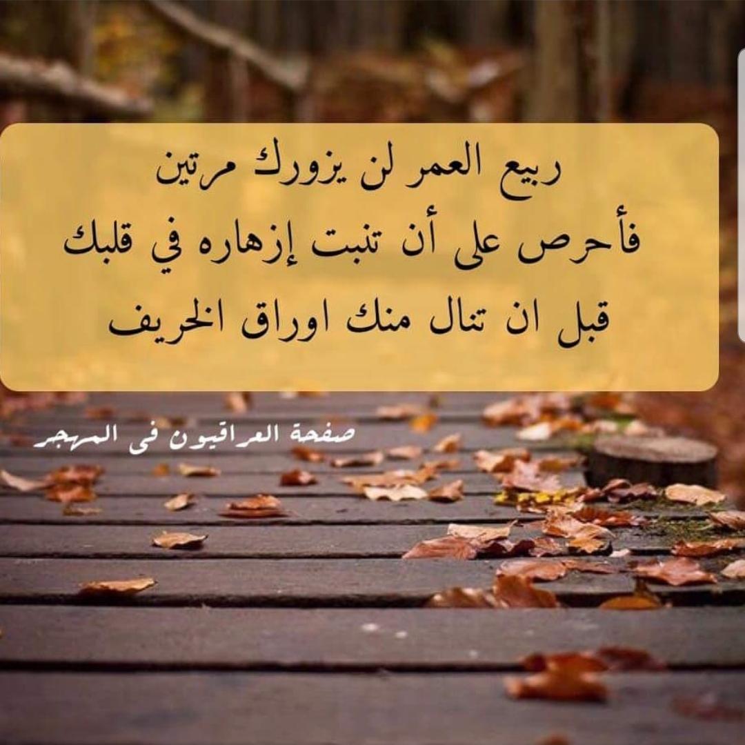 uploaded image