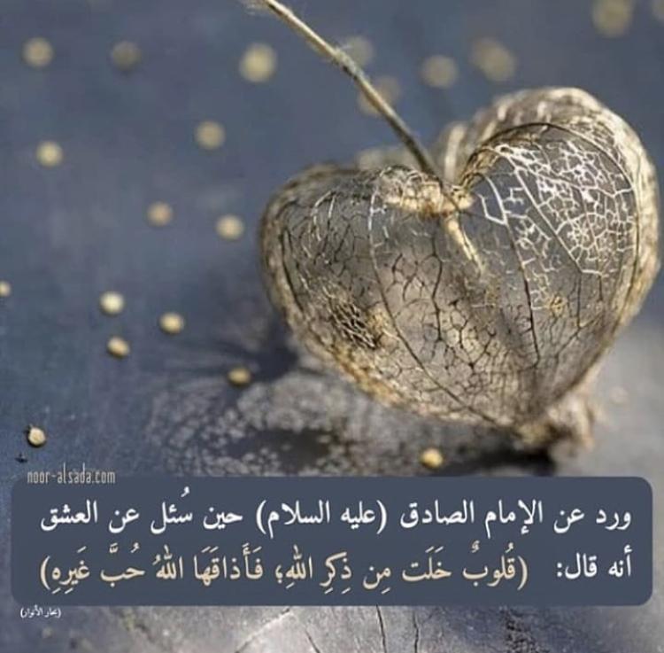 uploaded image