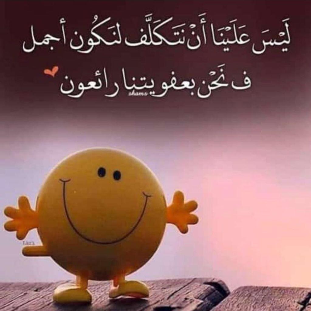 uploaded image