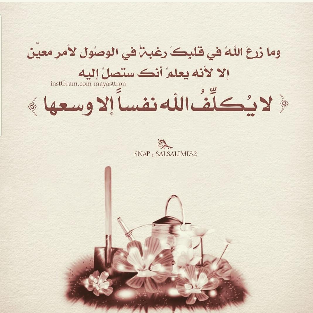 uploaded image